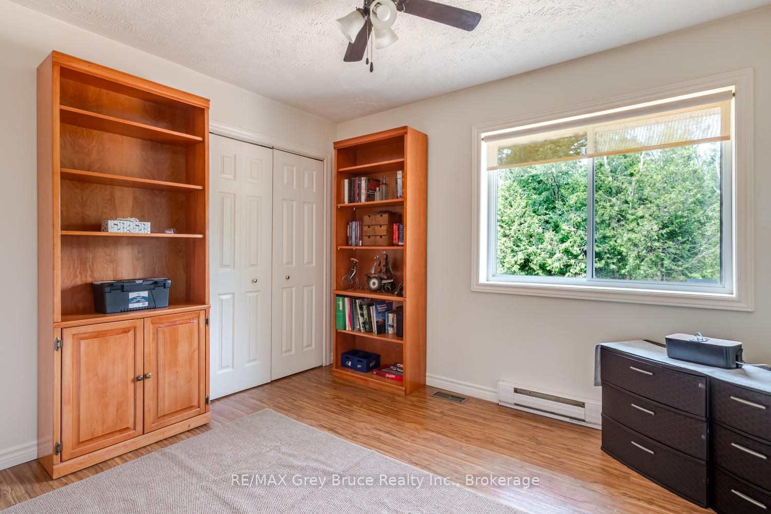 20 Hector Street Property Photo 15
