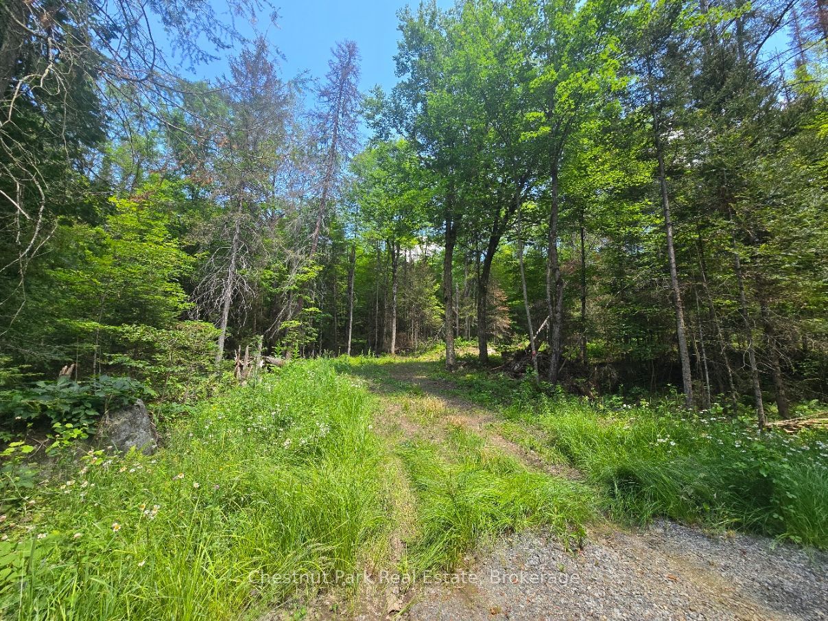 1630 Midlothian Road Property Photo 2