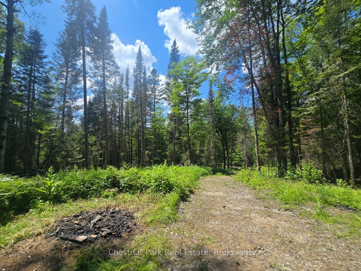 1630 Midlothian Road Property Photo 4