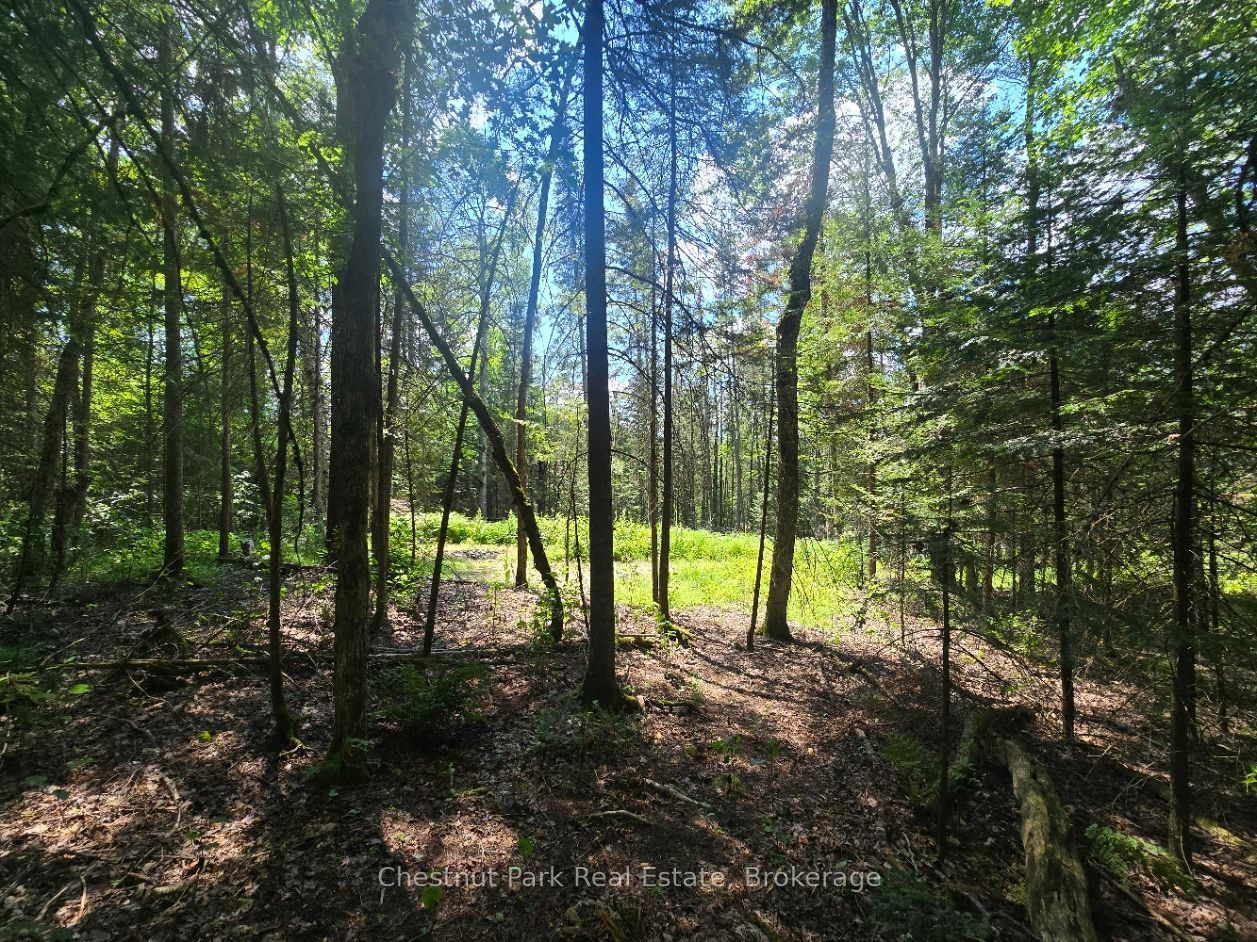 1630 Midlothian Road Property Photo 6