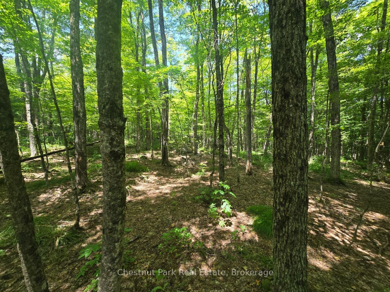 1630 Midlothian Road Property Photo 7