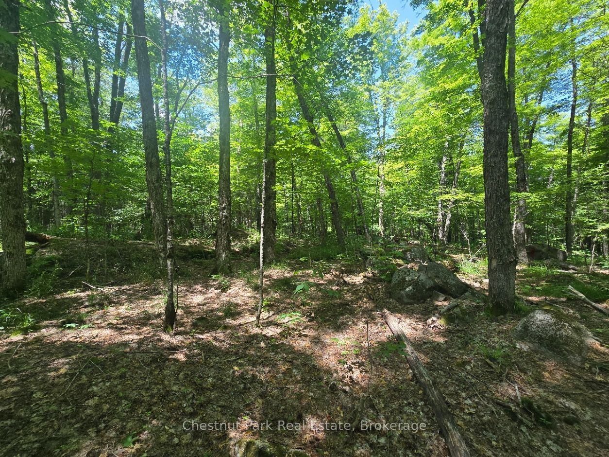 1630 Midlothian Road Property Photo 9