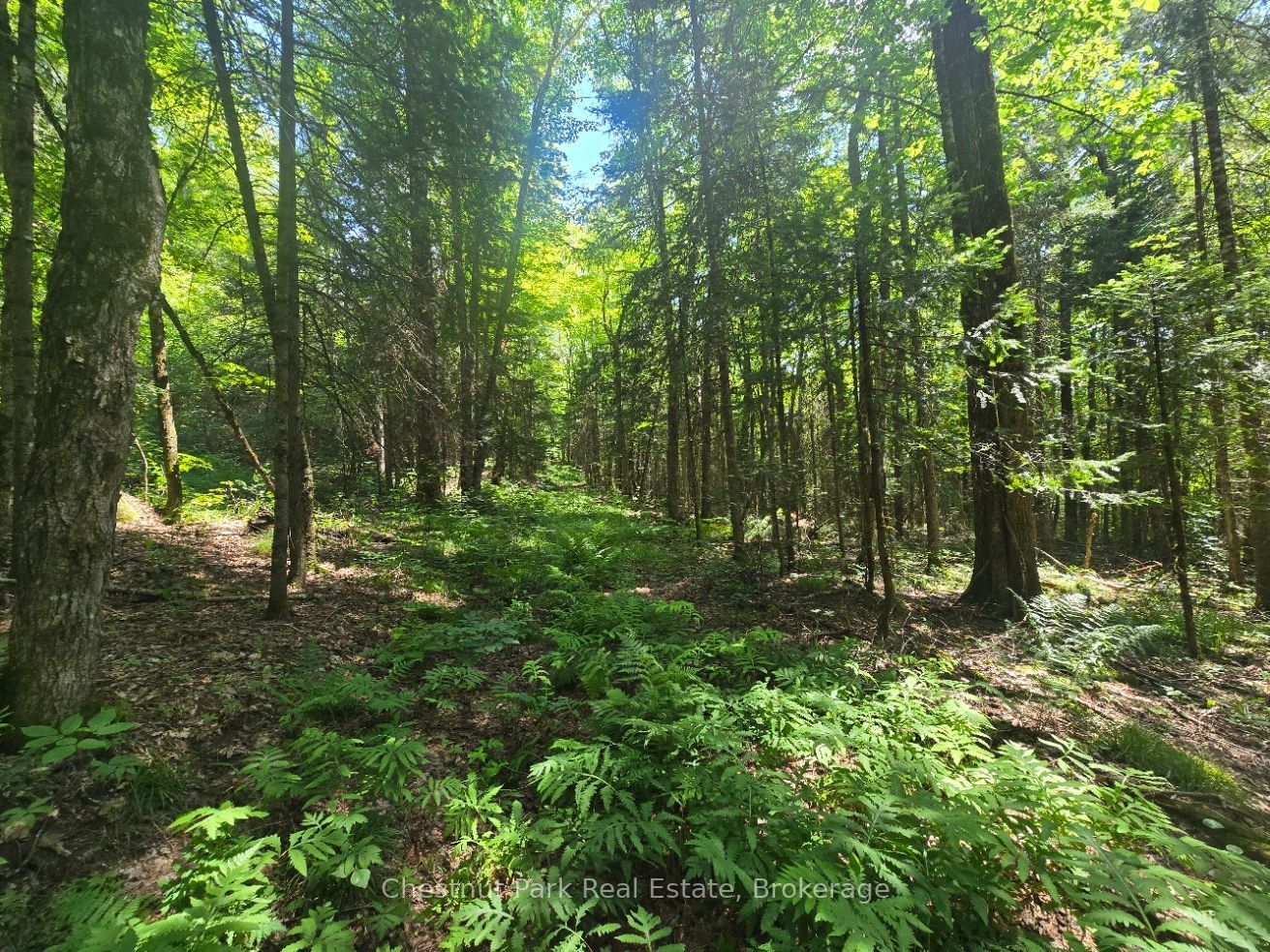 1630 Midlothian Road Property Photo 10
