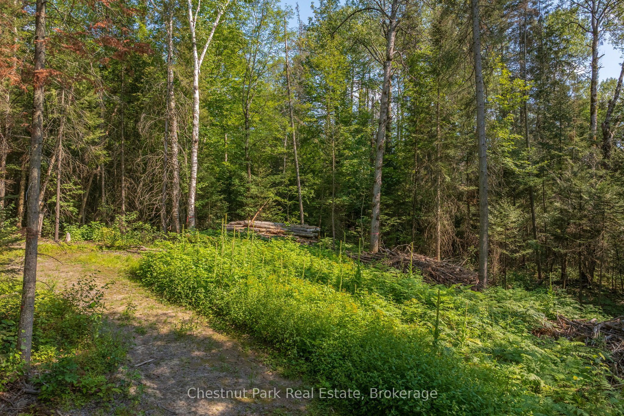 1630 Midlothian Road Property Photo 12