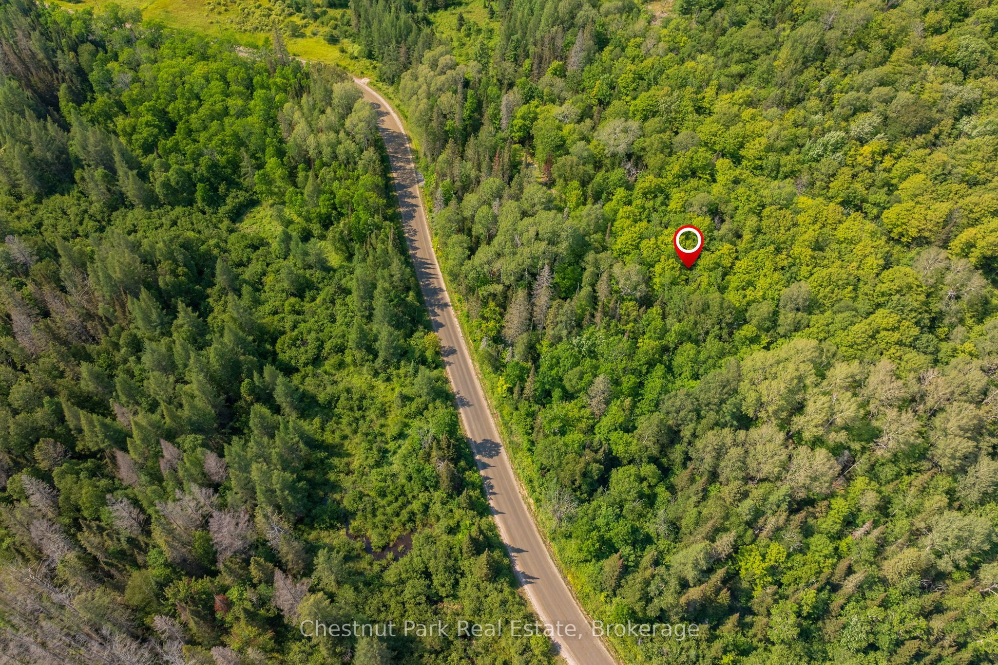 1630 Midlothian Road Property Photo 15