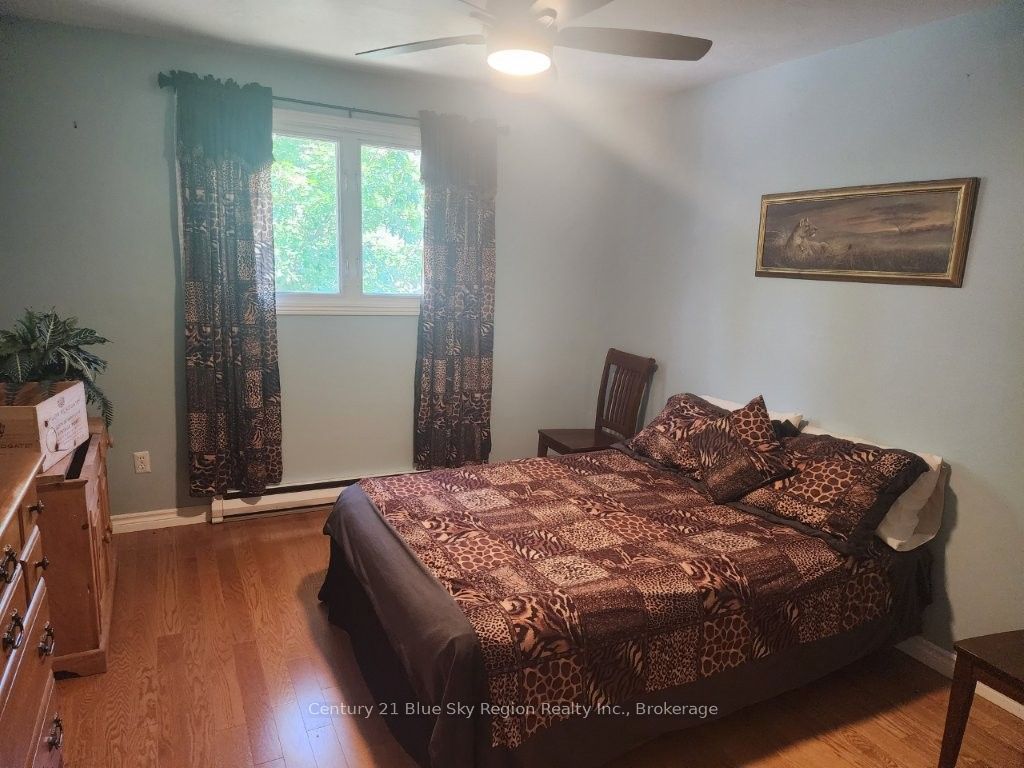 14 Birch Street Property Photo 22