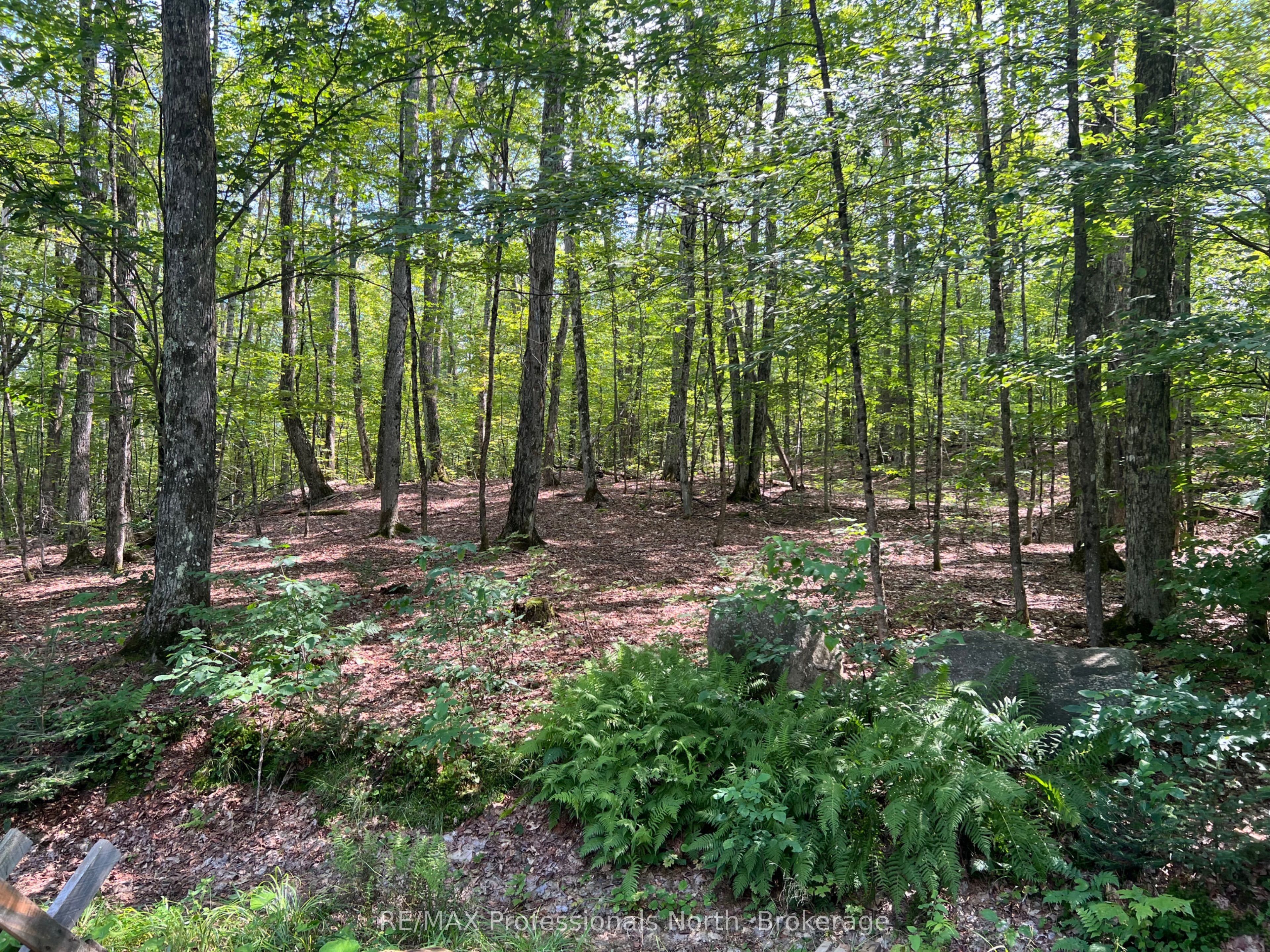 Lot 9 Concession 3 Property Photo 5