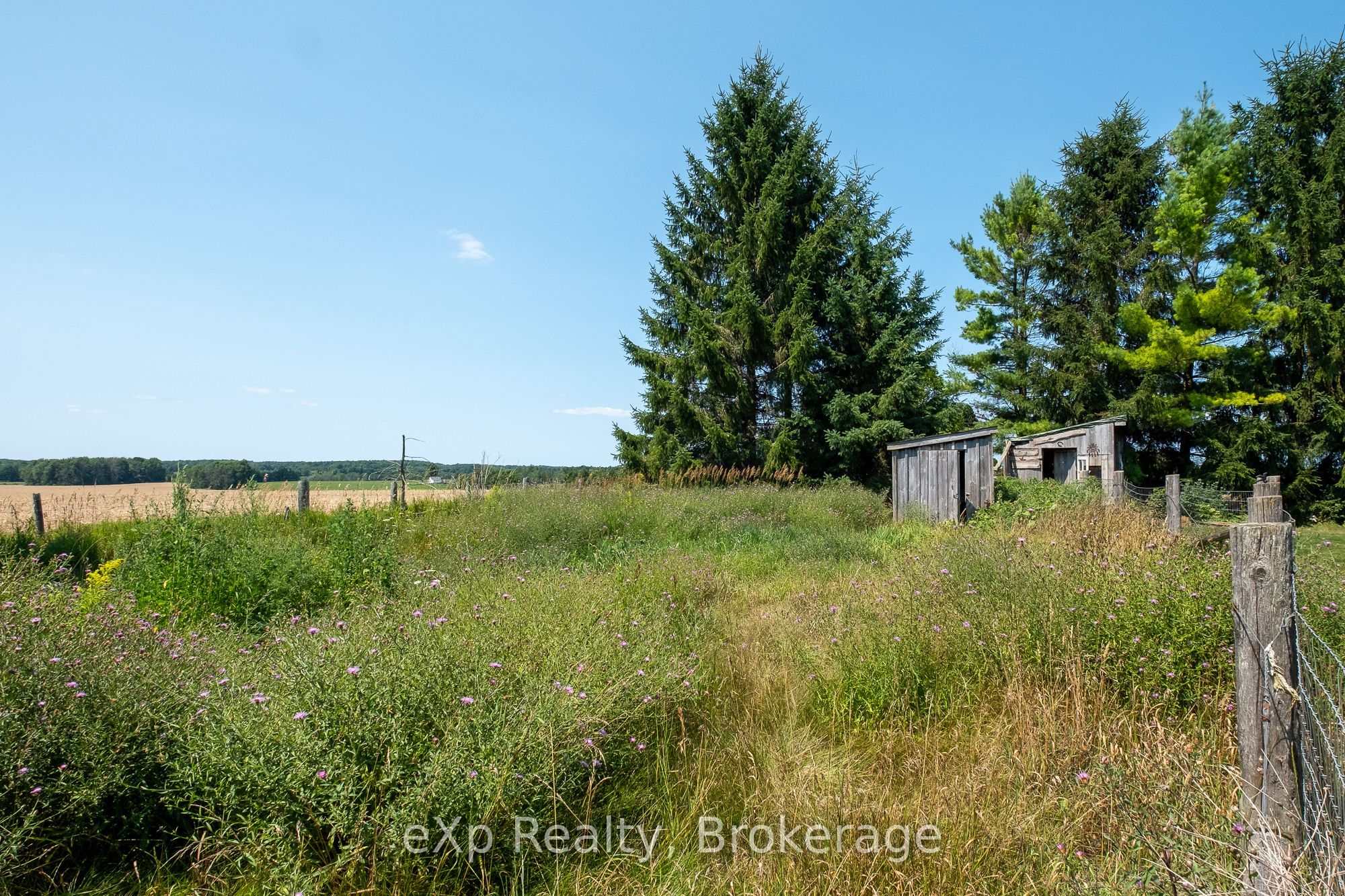 742649 Sideroad 4b Property Photo 22