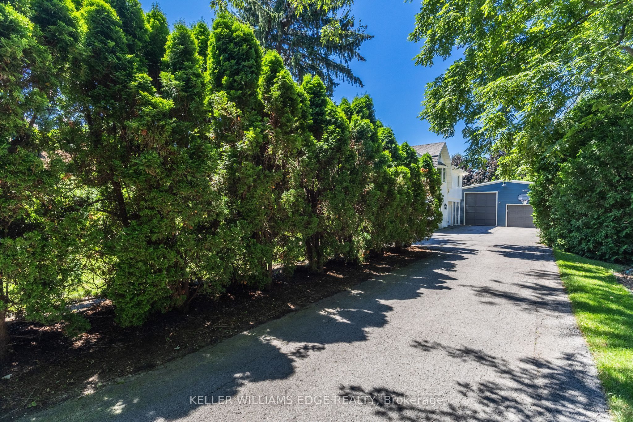 21 Kerman Avenue Property Photo 8