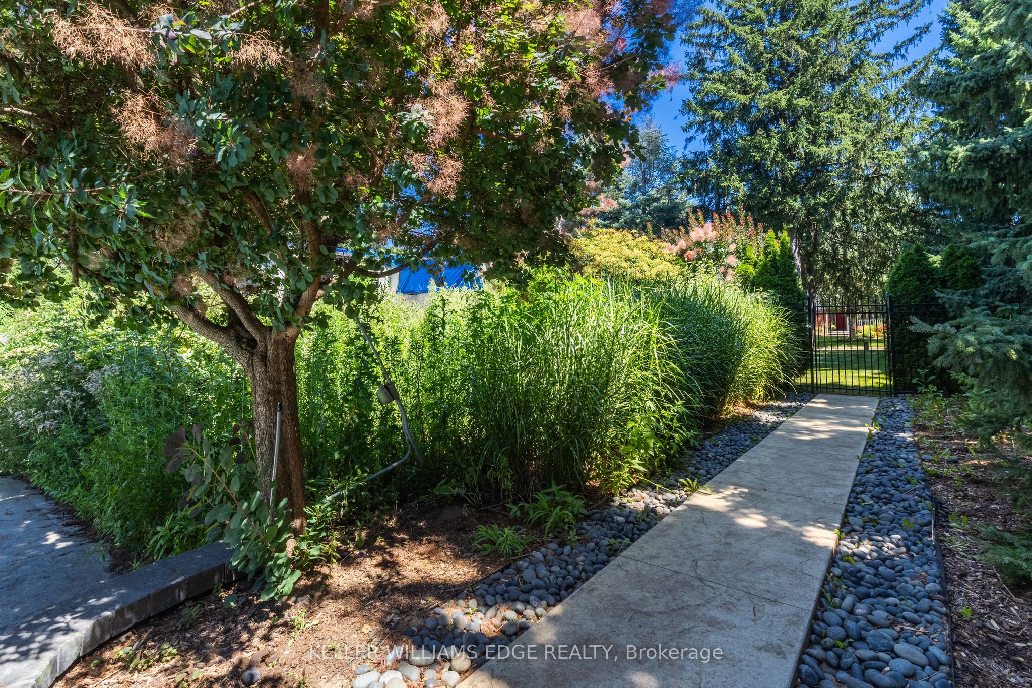 21 Kerman Avenue Property Photo 47