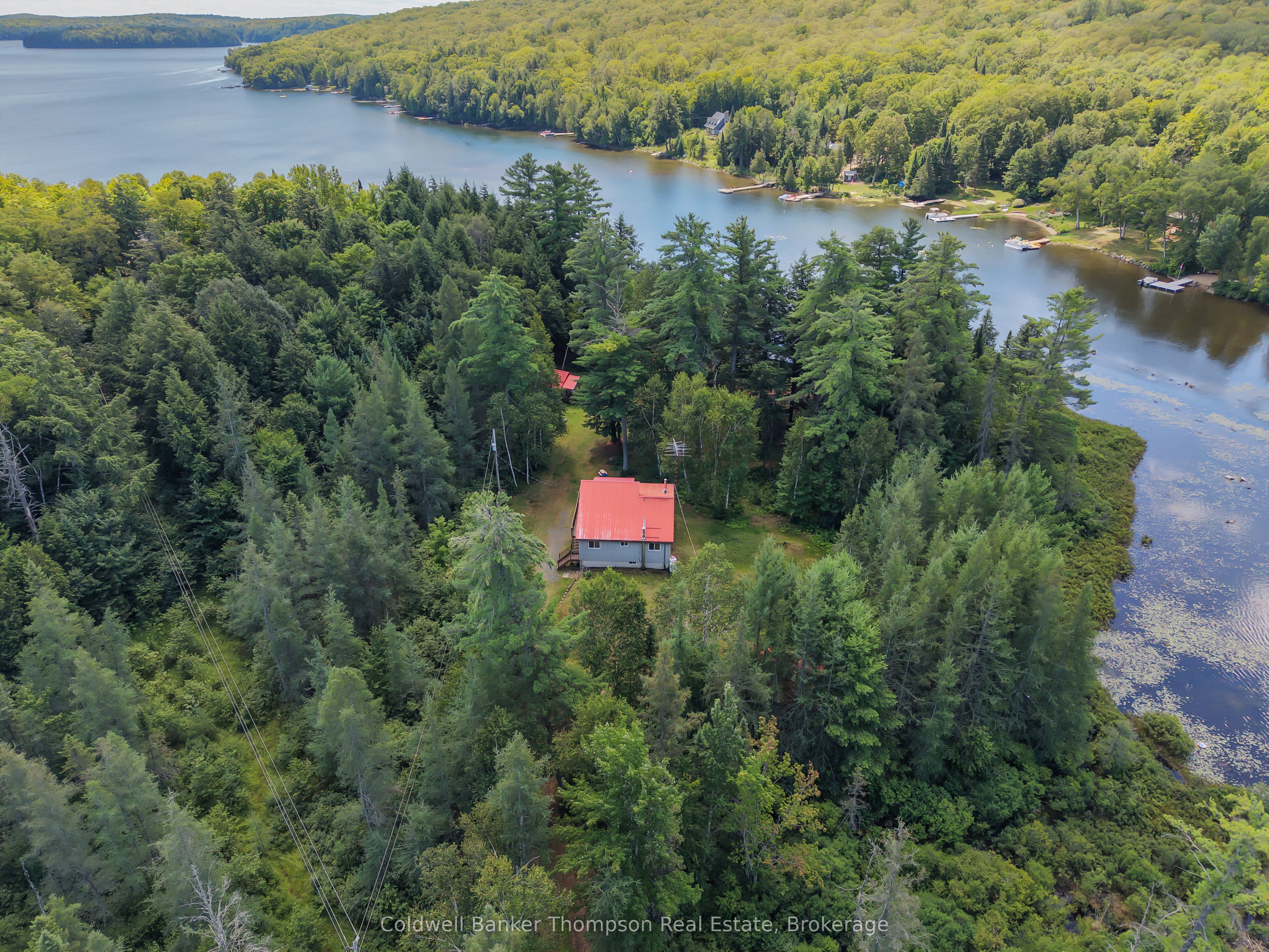 67 Sandy Cove Drive Property Photo 39