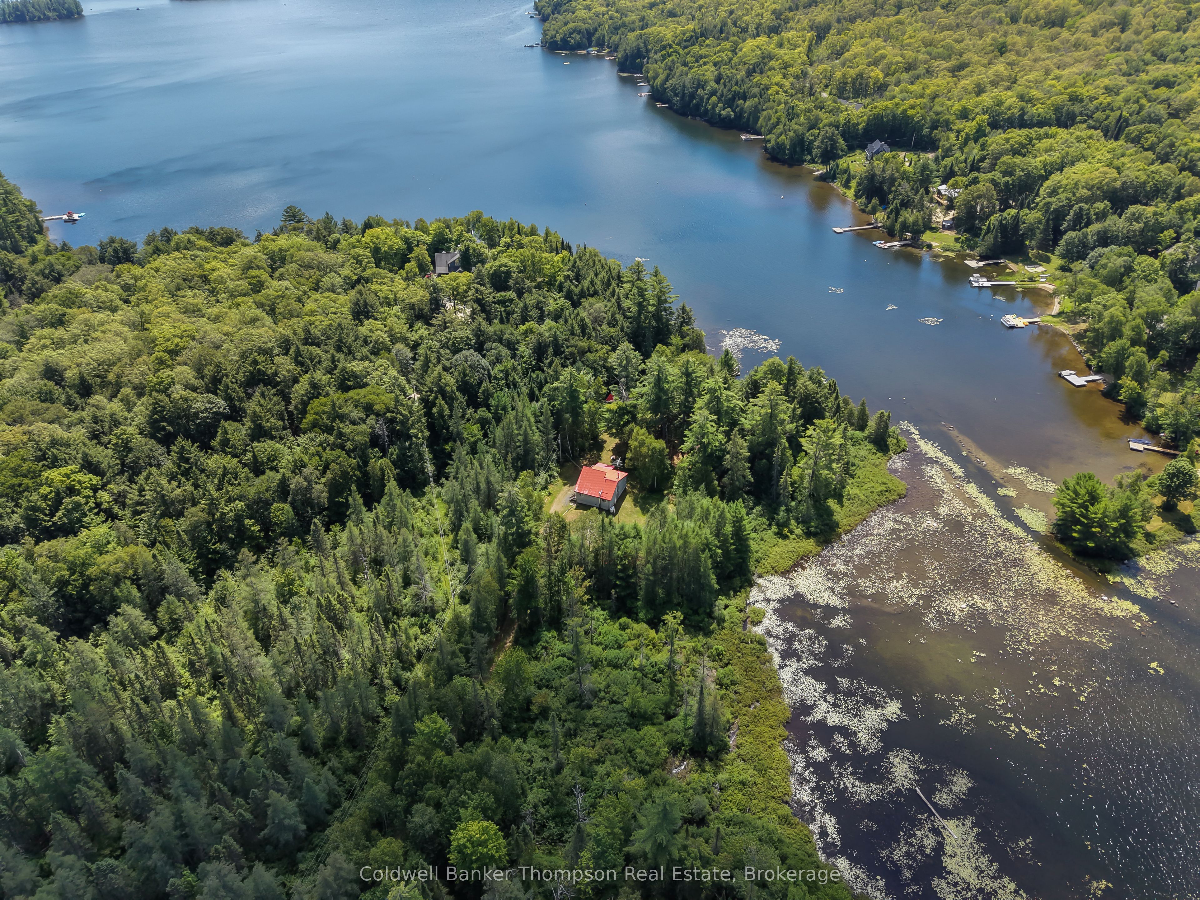 67 Sandy Cove Drive Property Photo 43