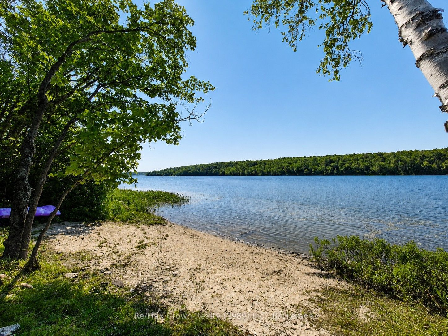 1052 Limberlost Point Road Property Photo 2