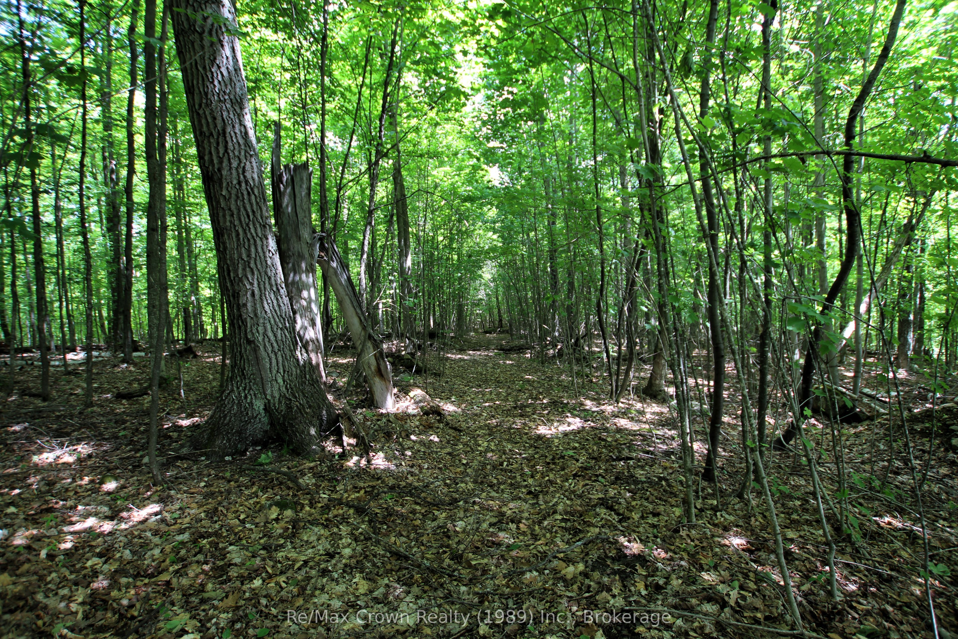 1052 Limberlost Point Road Property Photo 25