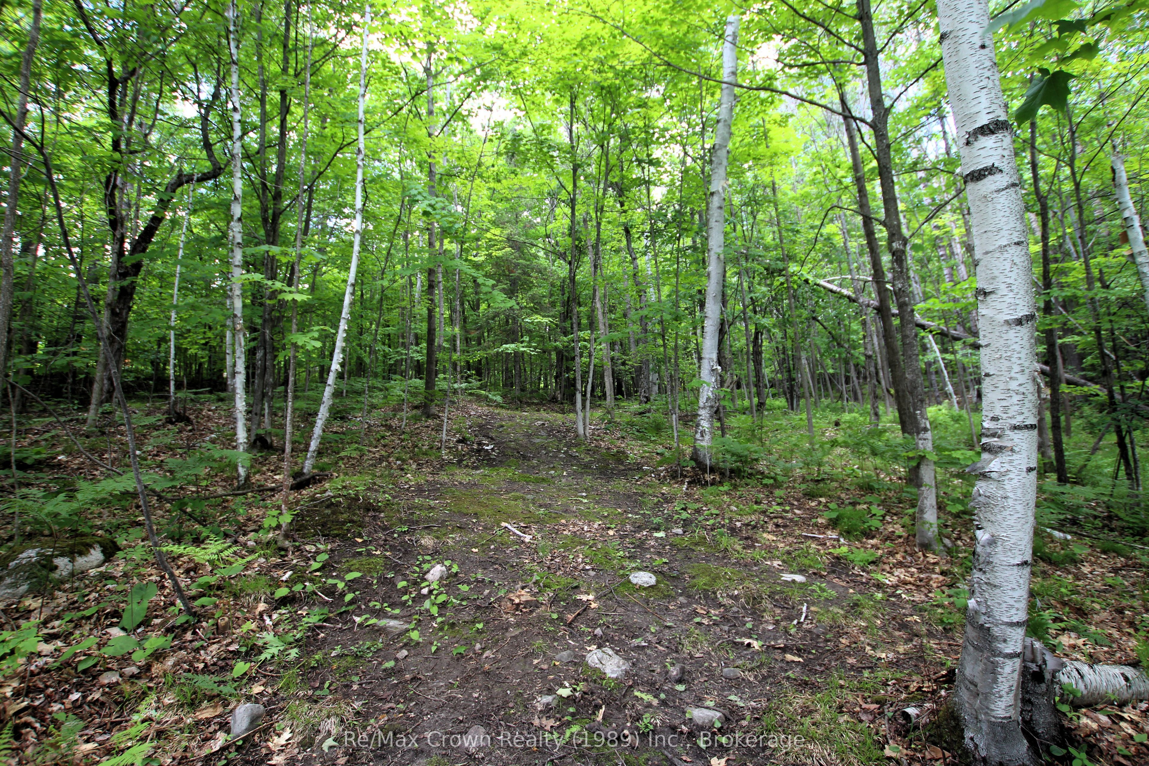 1052 Limberlost Point Road Property Photo 27