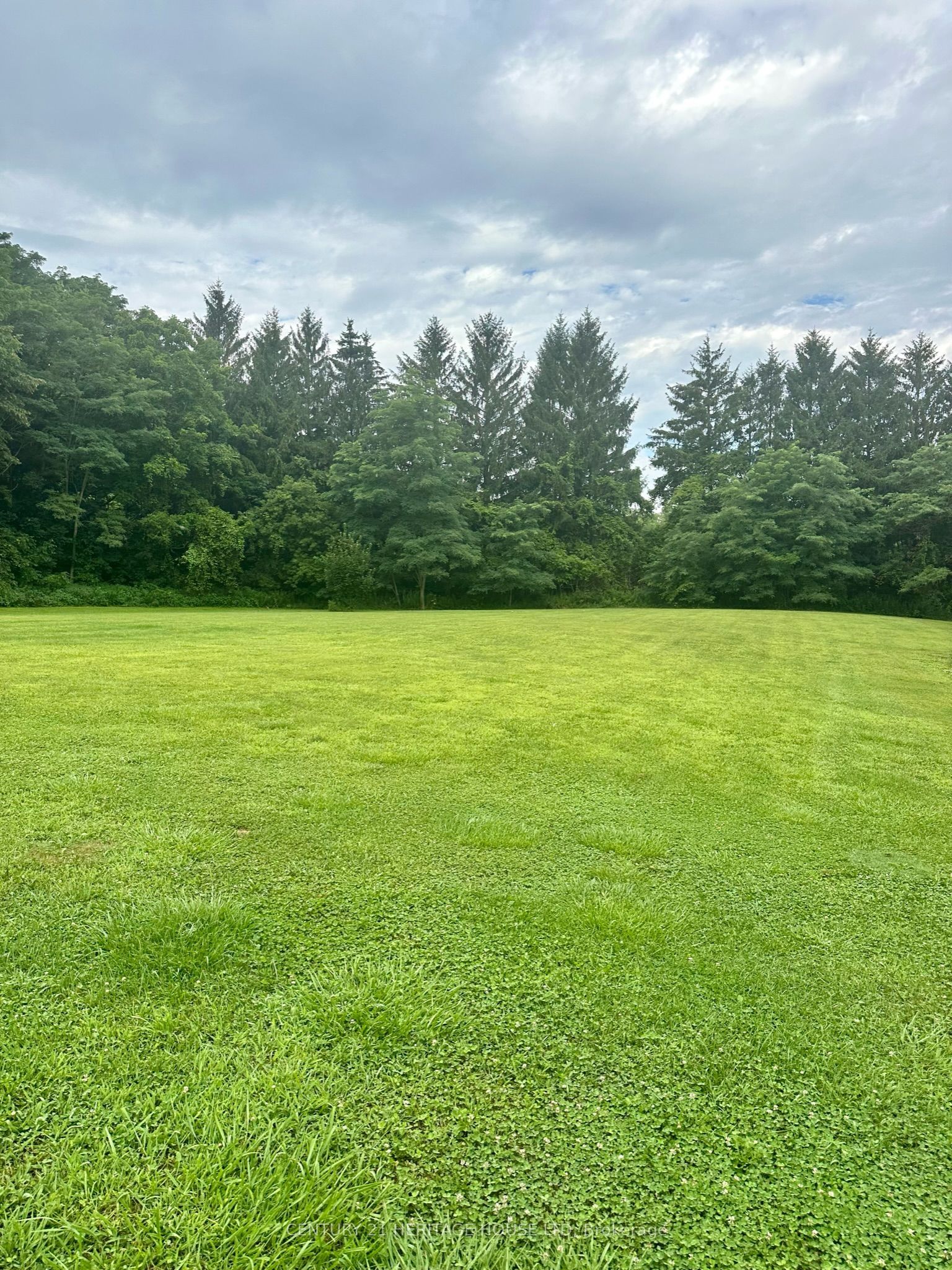 41108 Sparta Line Property Photo 41