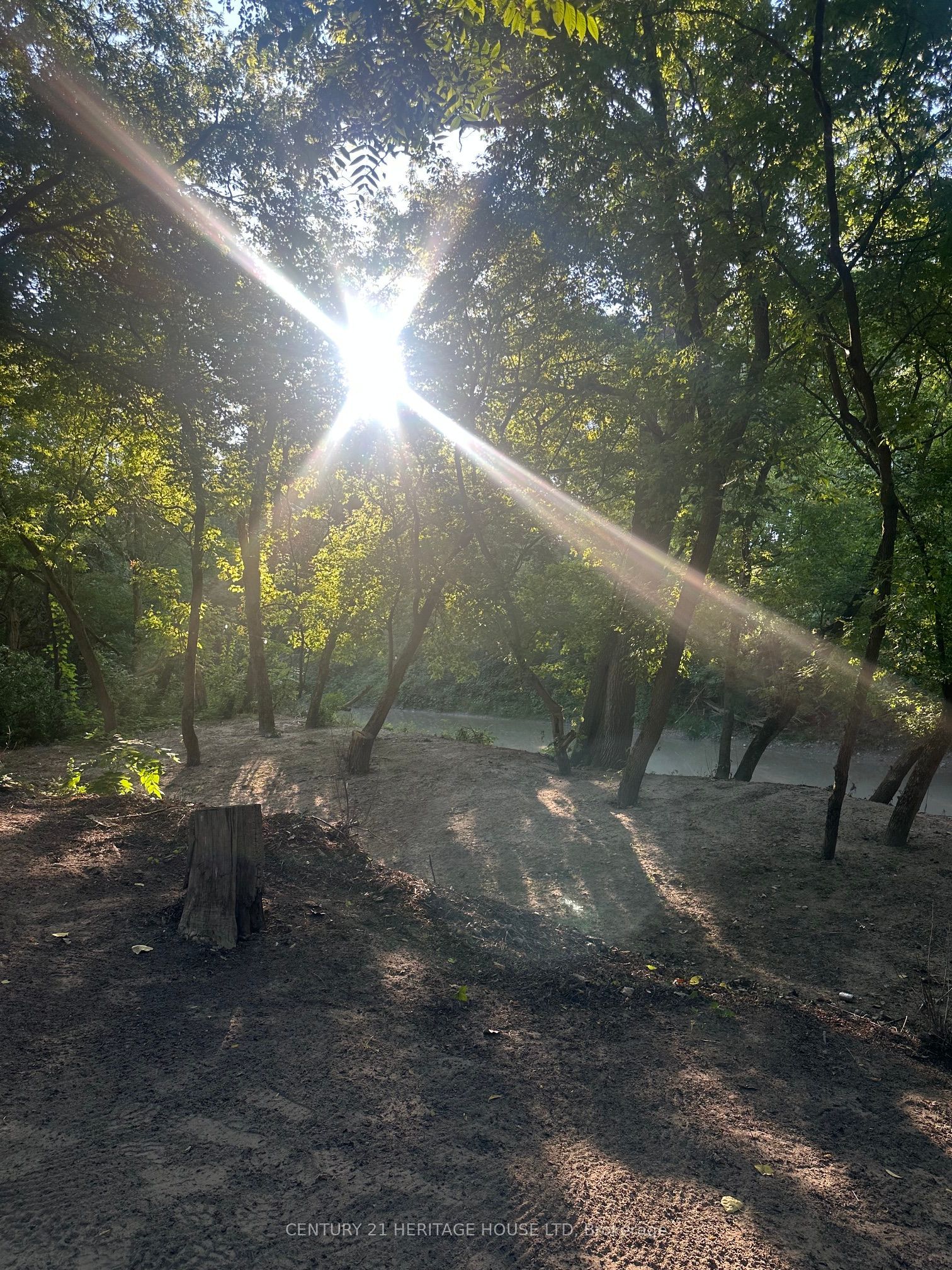 41108 Sparta Line Property Photo 46