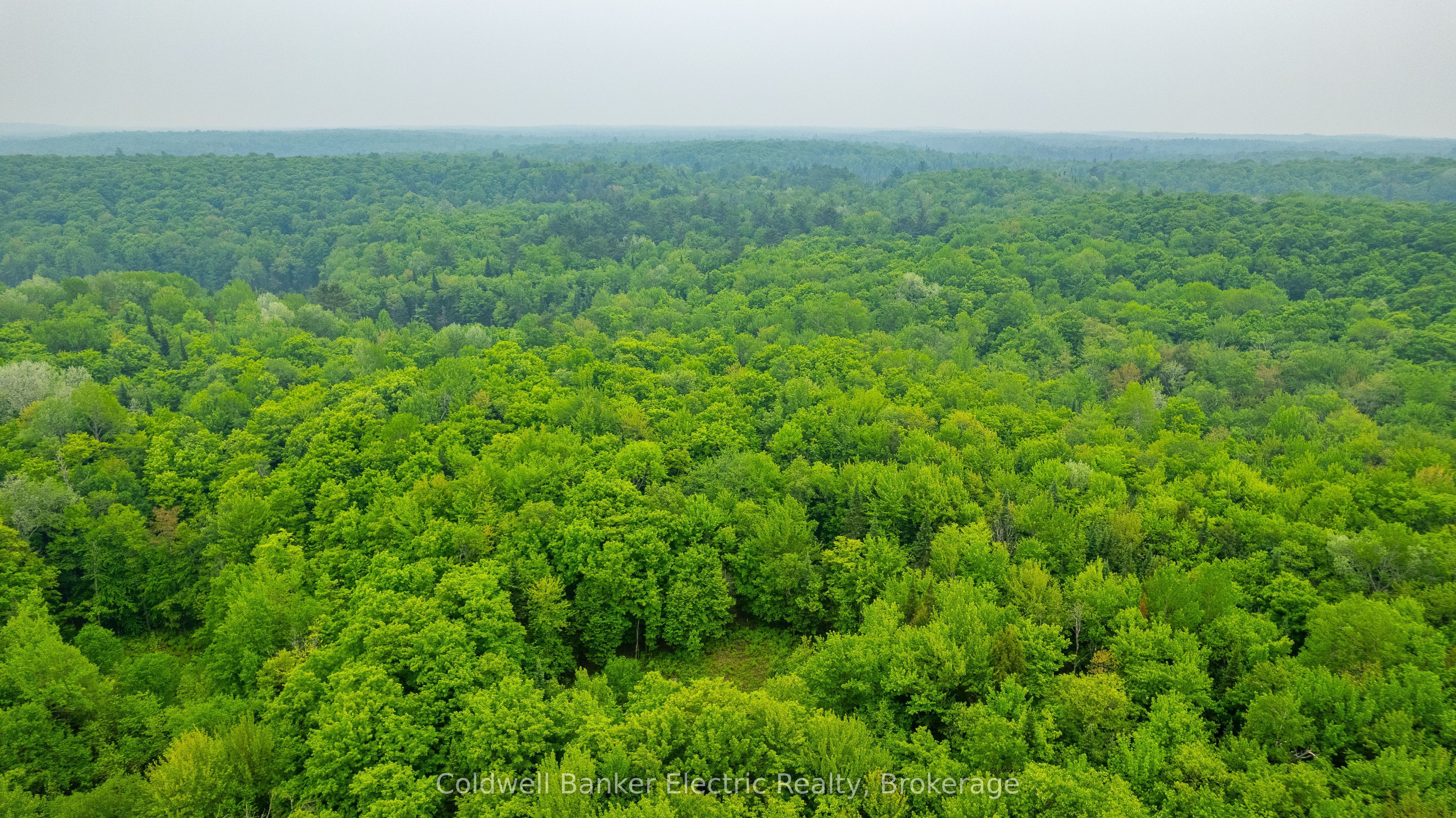 1304 Lower Monmouth Lake Road Property Photo 23
