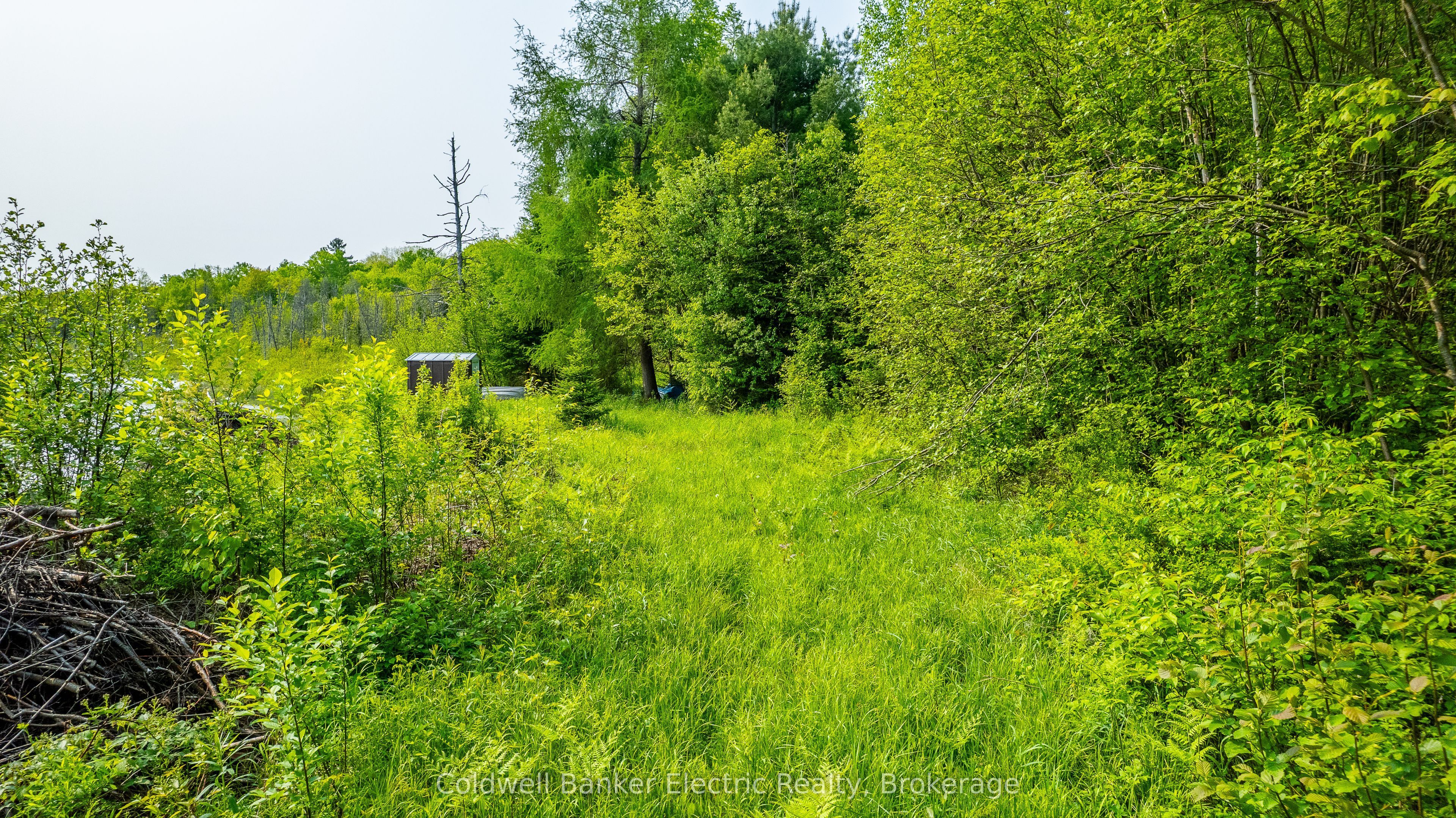 1304 Lower Monmouth Lake Road Property Photo 41