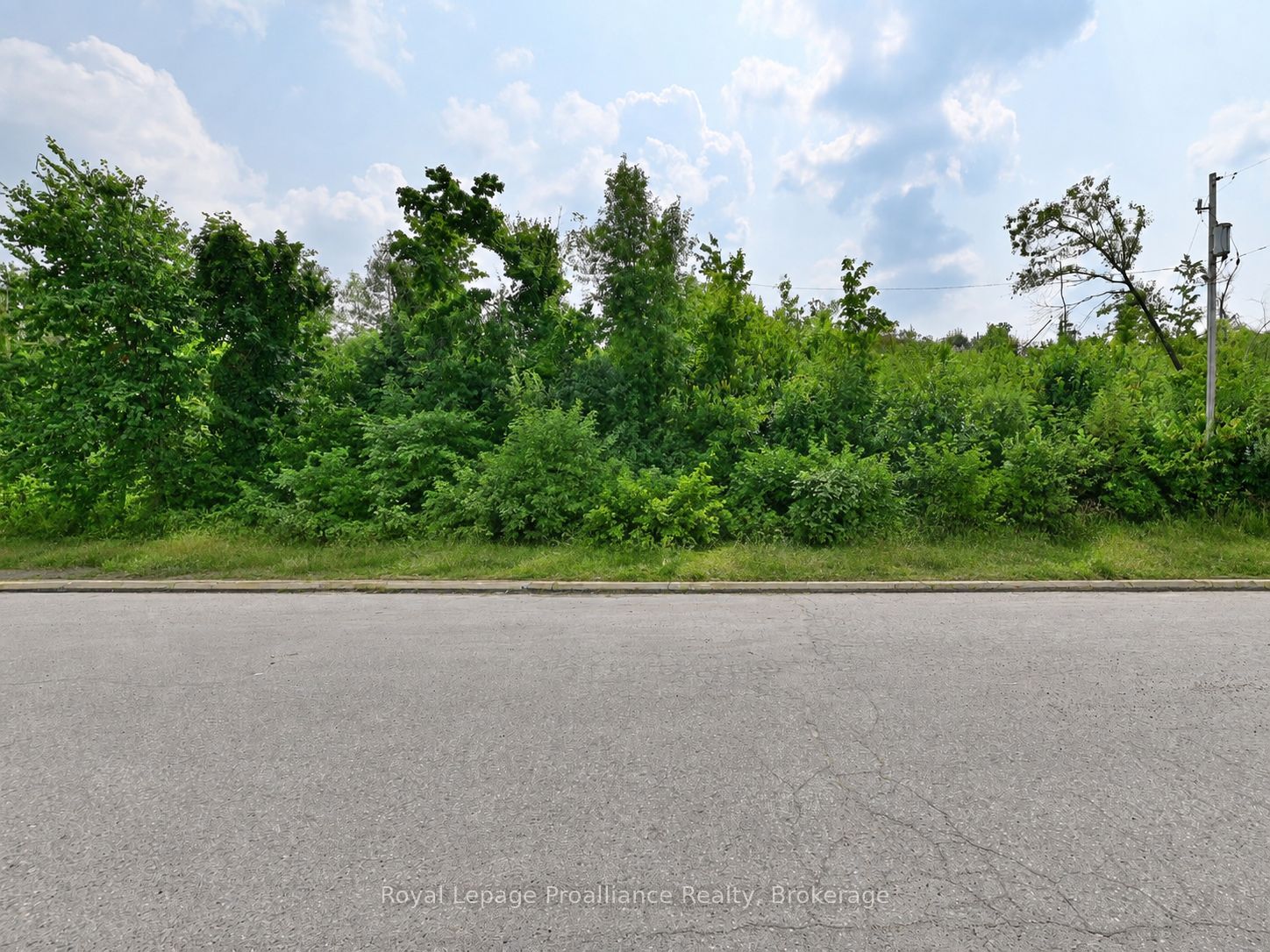 109772 Highway 7 Property Photo 3