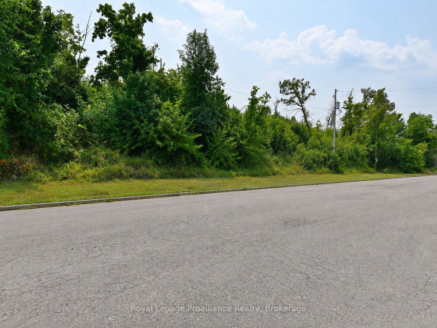 109772 Highway 7 Property Photo 5