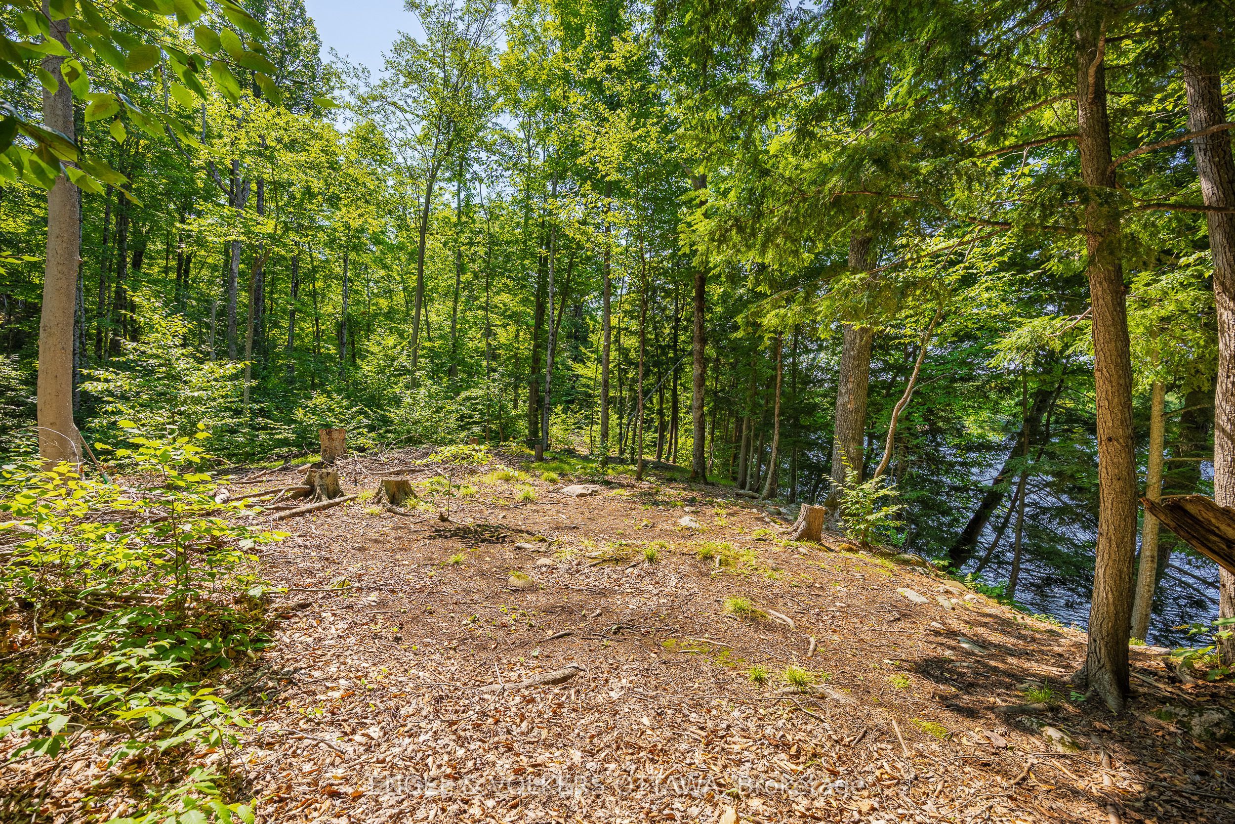 223 Shady Maple Road Property Photo 8