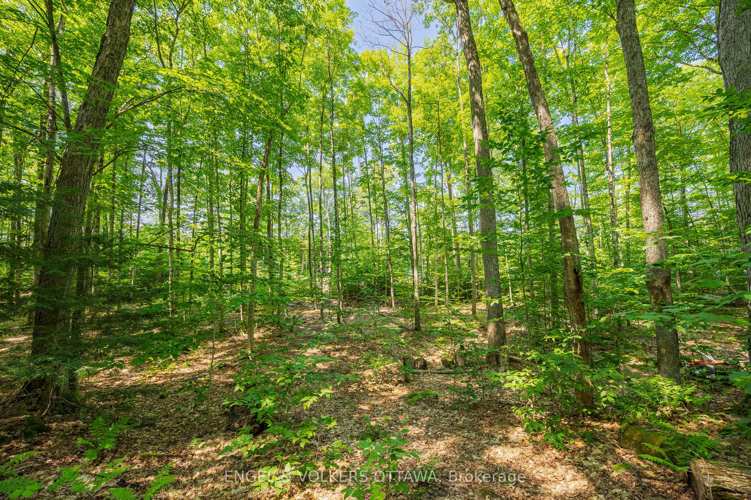 223 Shady Maple Road Property Photo 9