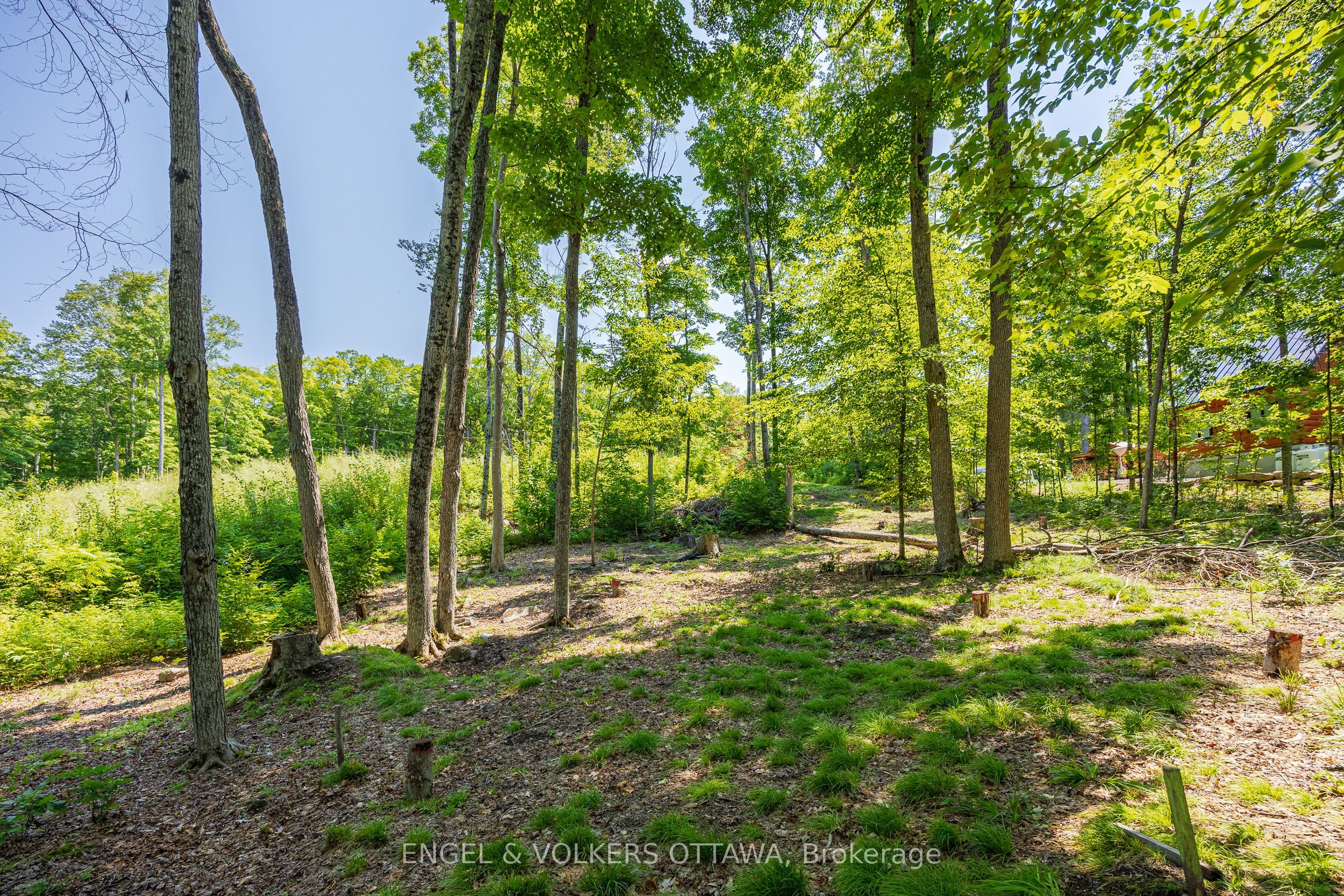 223 Shady Maple Road Property Photo 10