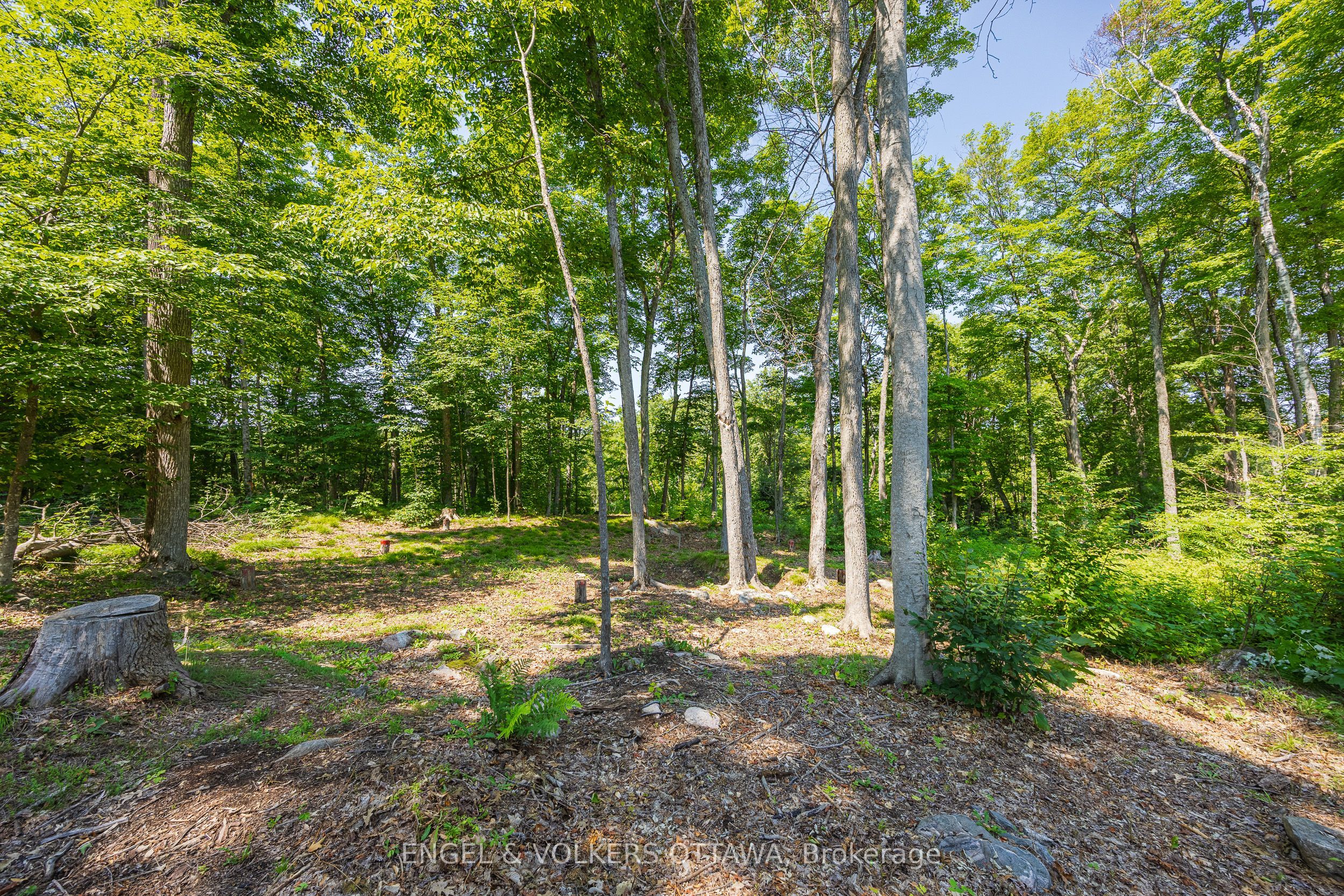 223 Shady Maple Road Property Photo 11