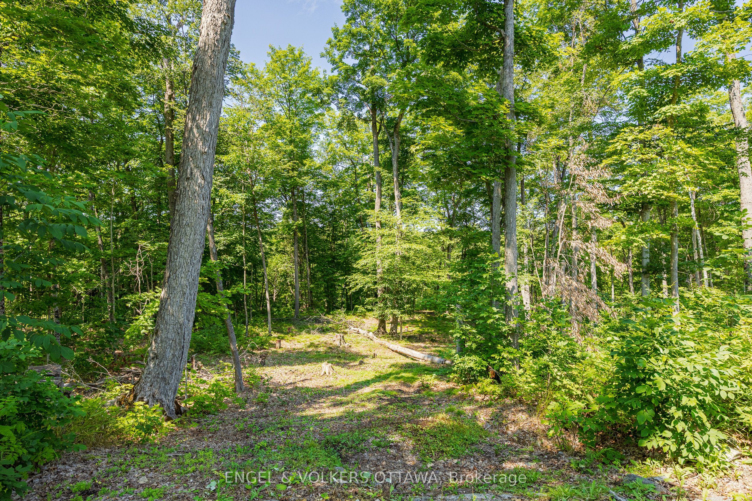 223 Shady Maple Road Property Photo 13