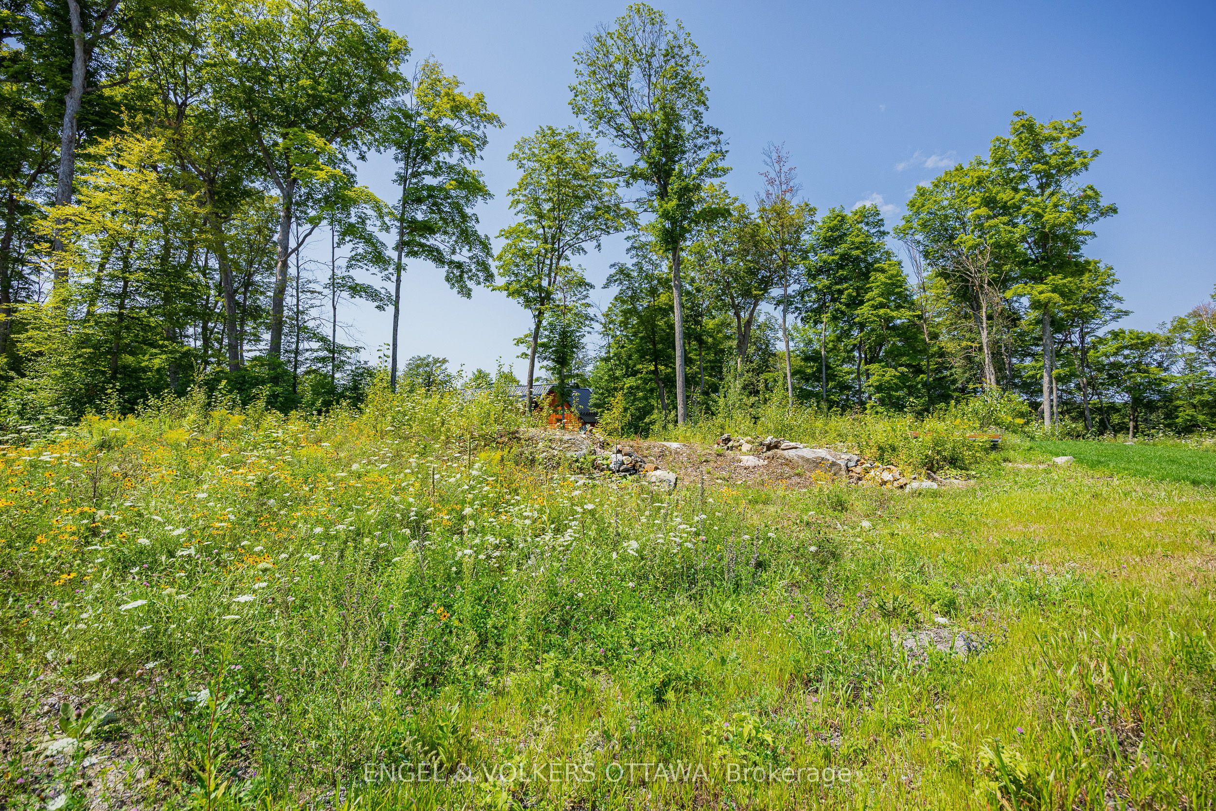 223 Shady Maple Road Property Photo 15