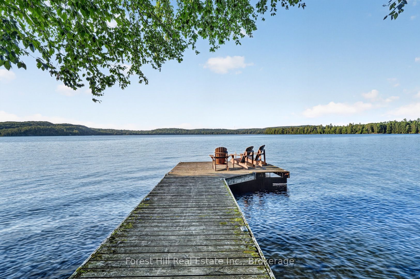 1110 Joseph Tapley Road Property Photo 29