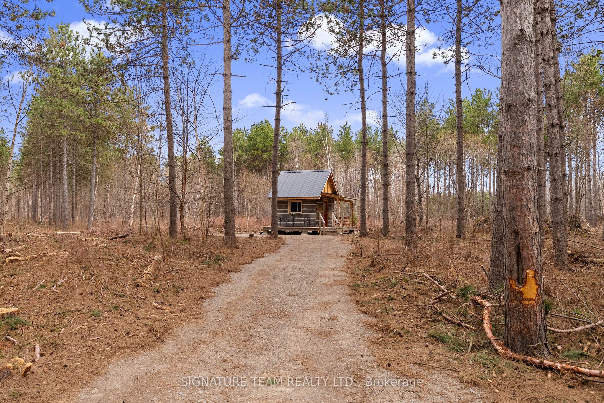 359 Dittburner Road Property Photo 5