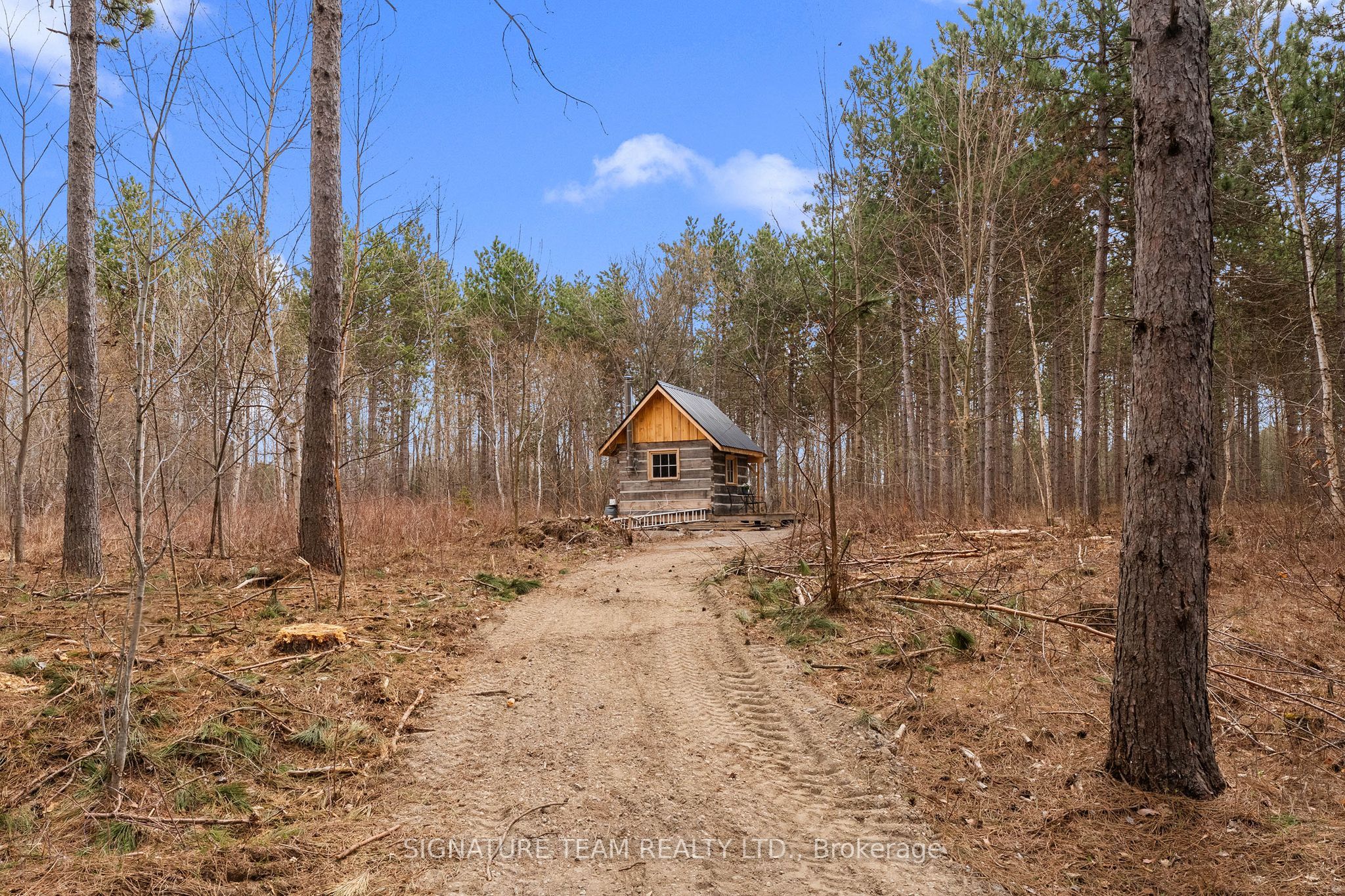 359 Dittburner Road Property Photo 15