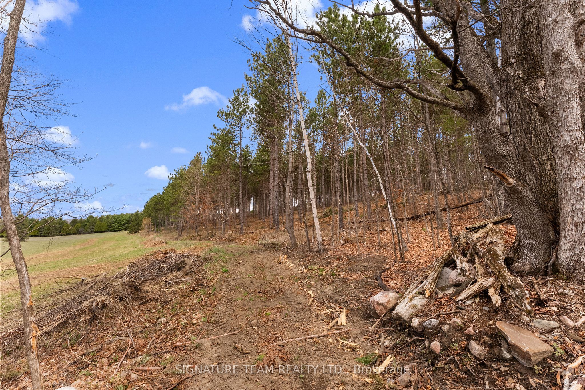 359 Dittburner Road Property Photo 16
