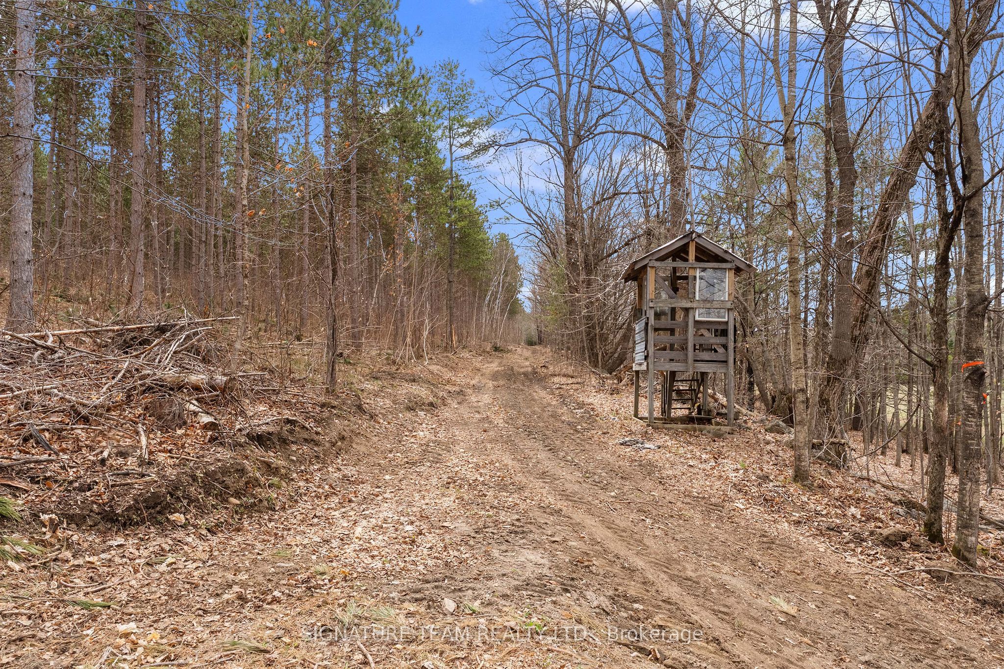 359 Dittburner Road Property Photo 17