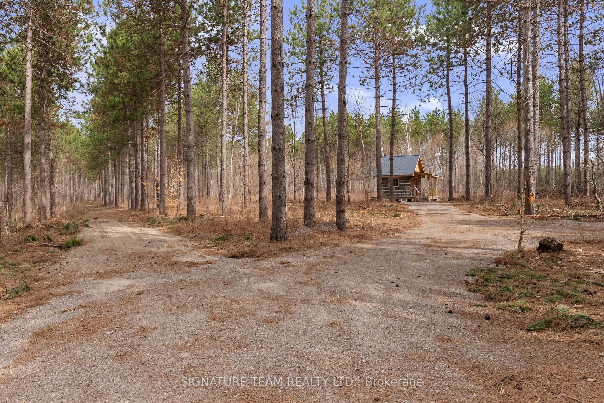 359 Dittburner Road Property Photo 19
