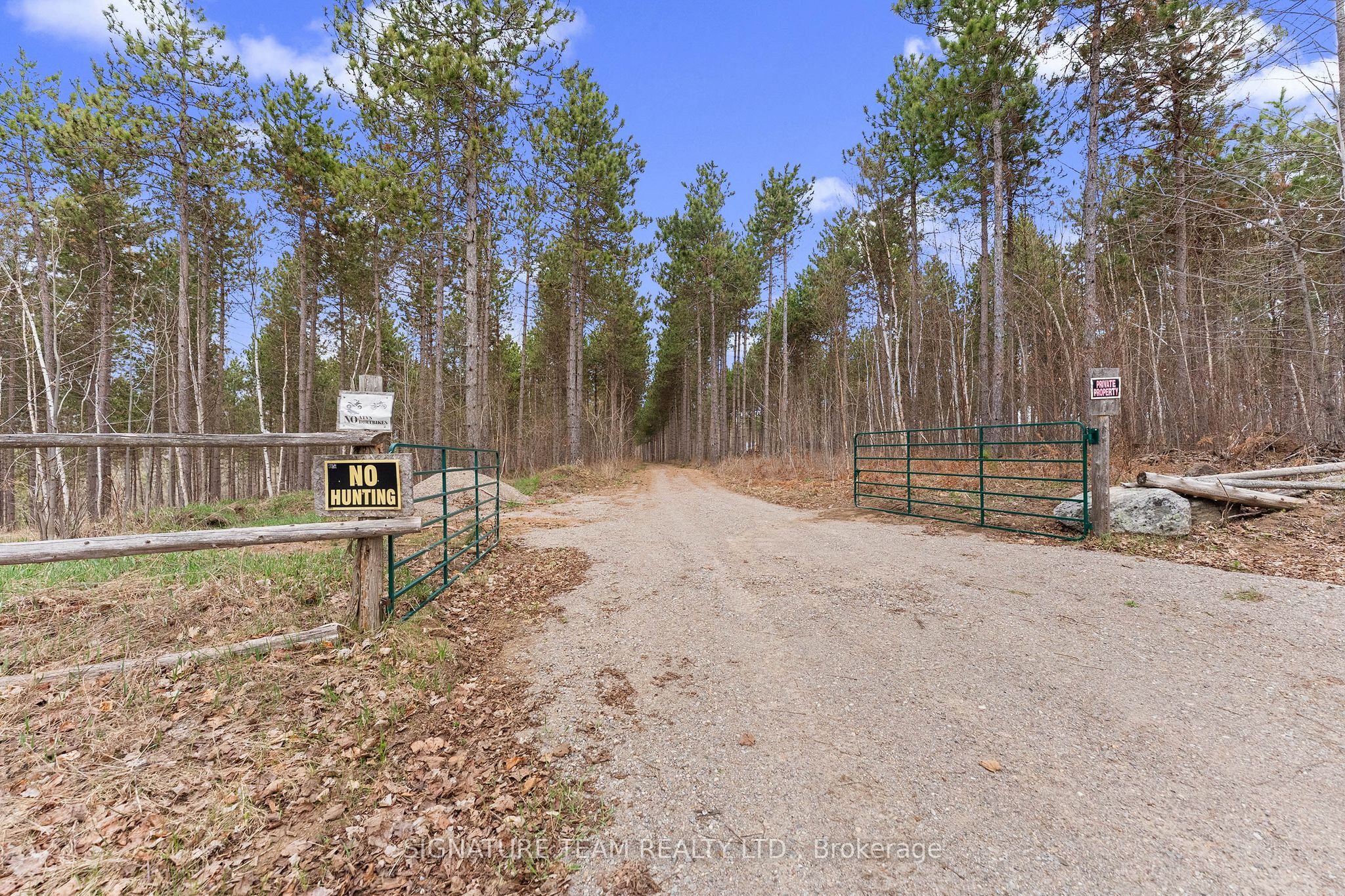 359 Dittburner Road Property Photo 20