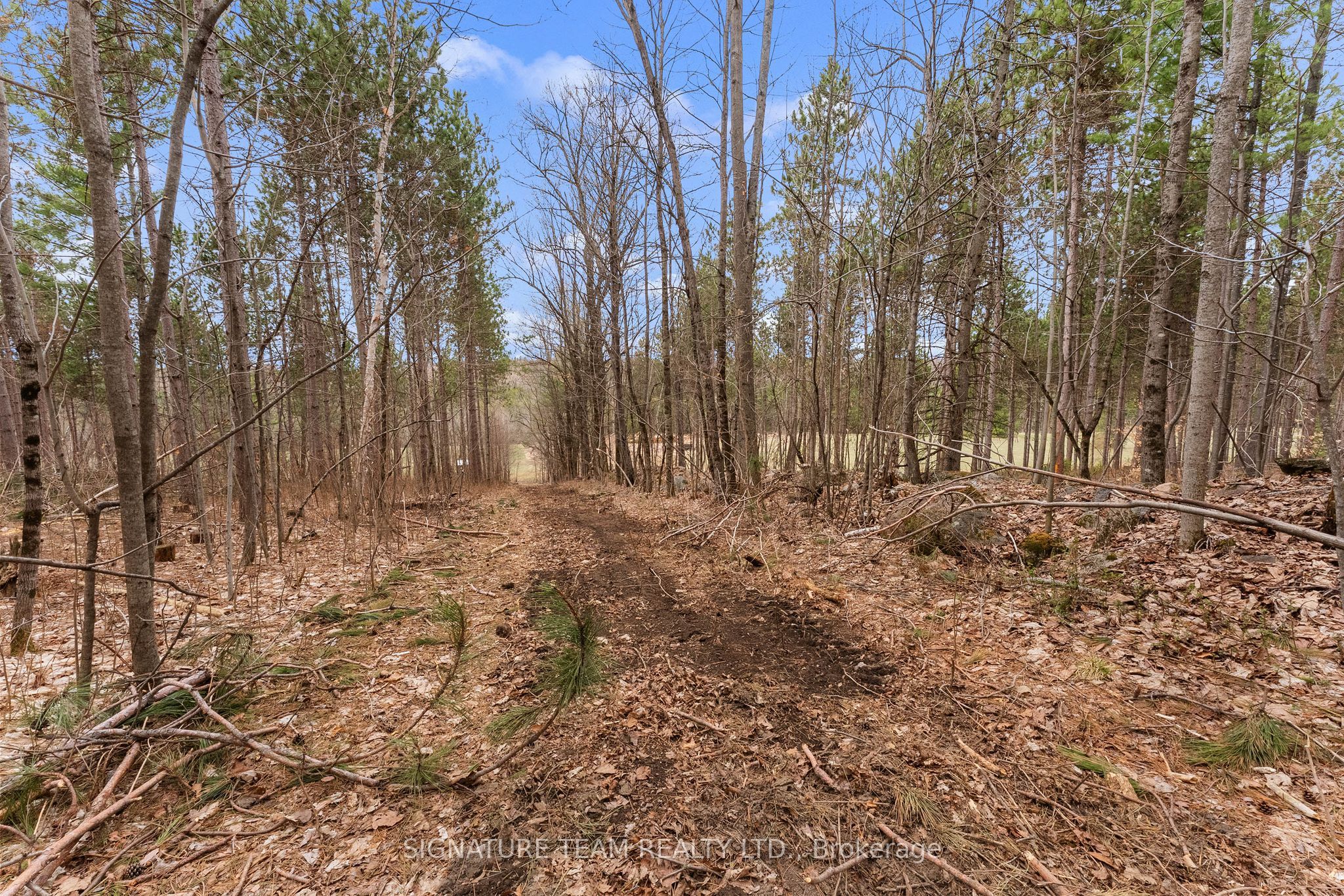 359 Dittburner Road Property Photo 22