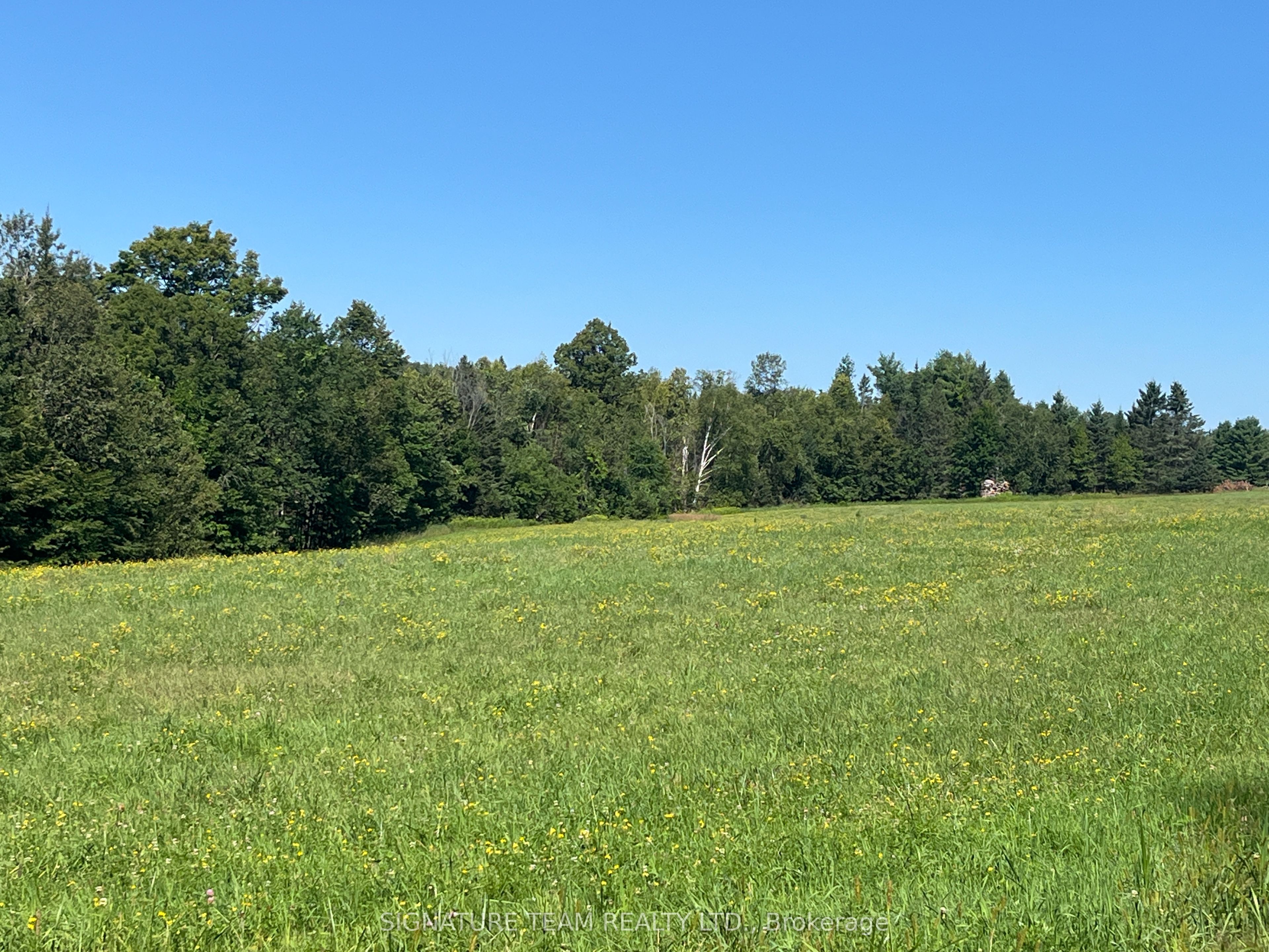 359 Dittburner Road Property Photo 30