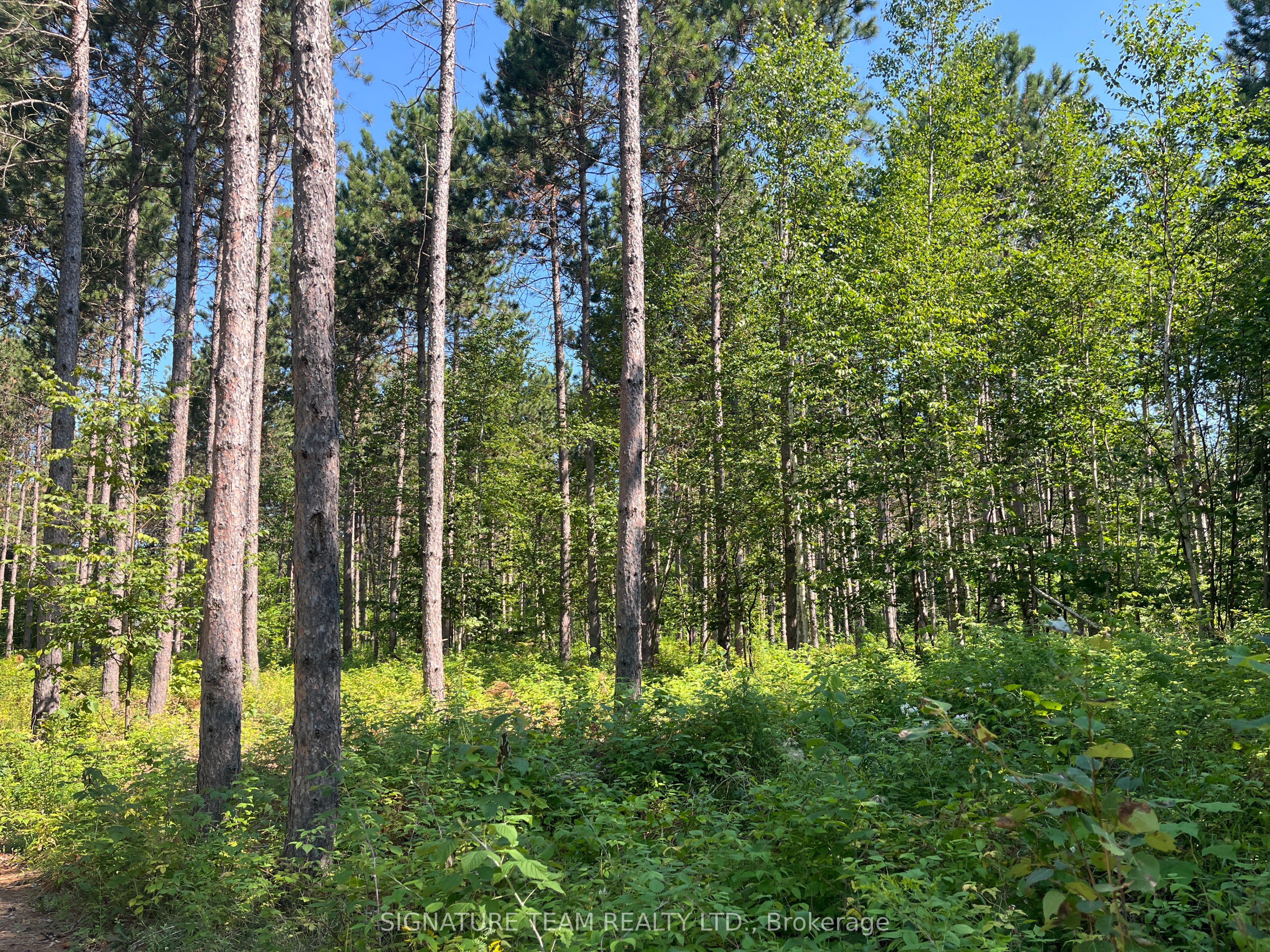 359 Dittburner Road Property Photo 32