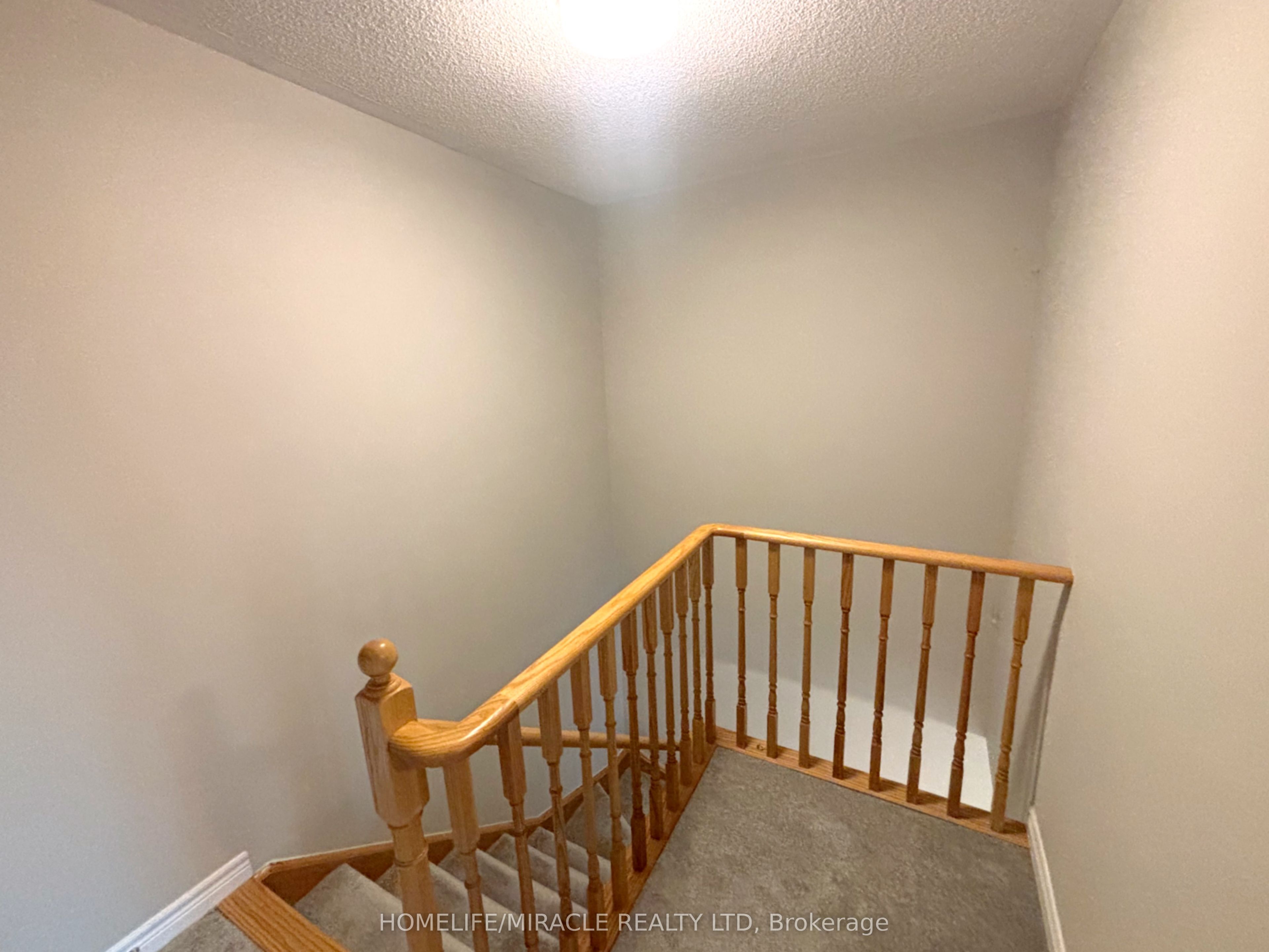 113 Hartley Avenue 32 Property Photo 11