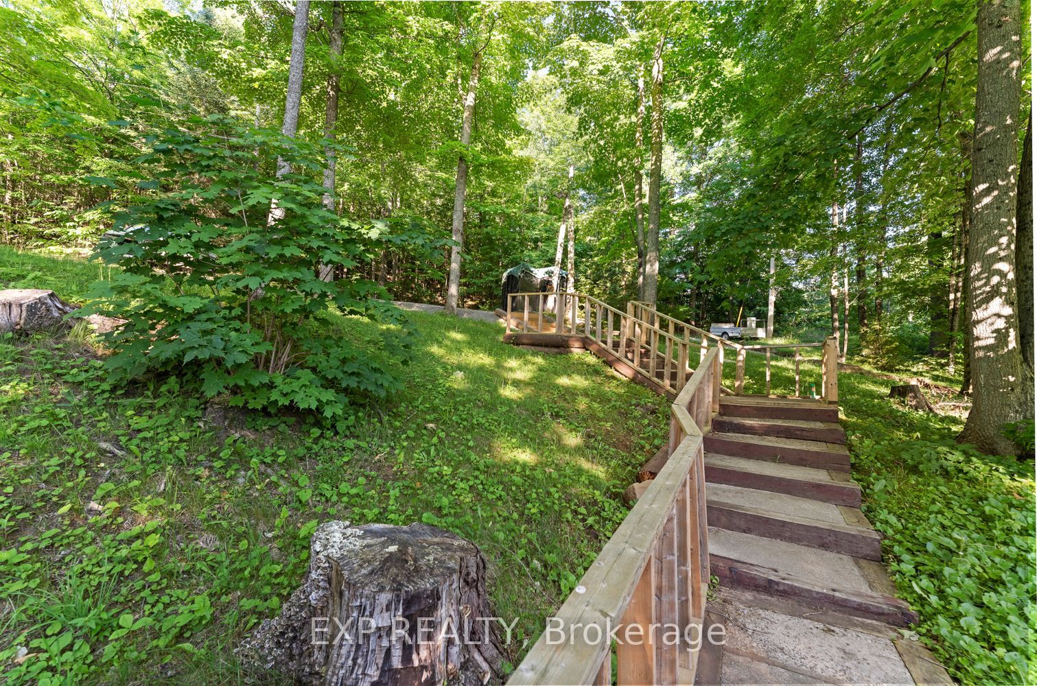 25 Fire Rt. 296 Property Photo 34