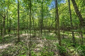 6 Rock Forest Road Property Photo 3