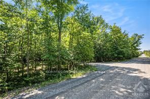 6 Rock Forest Road Property Photo 4