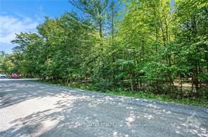 6 Rock Forest Road Property Photo 5