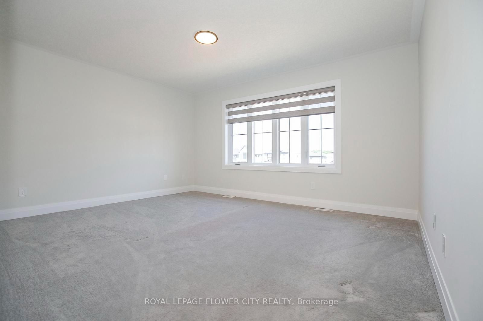 174 Shaded Creek Drive Property Photo 25