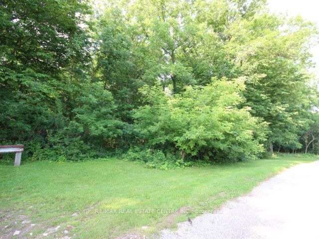 44 Brodick Street Property Photo 10