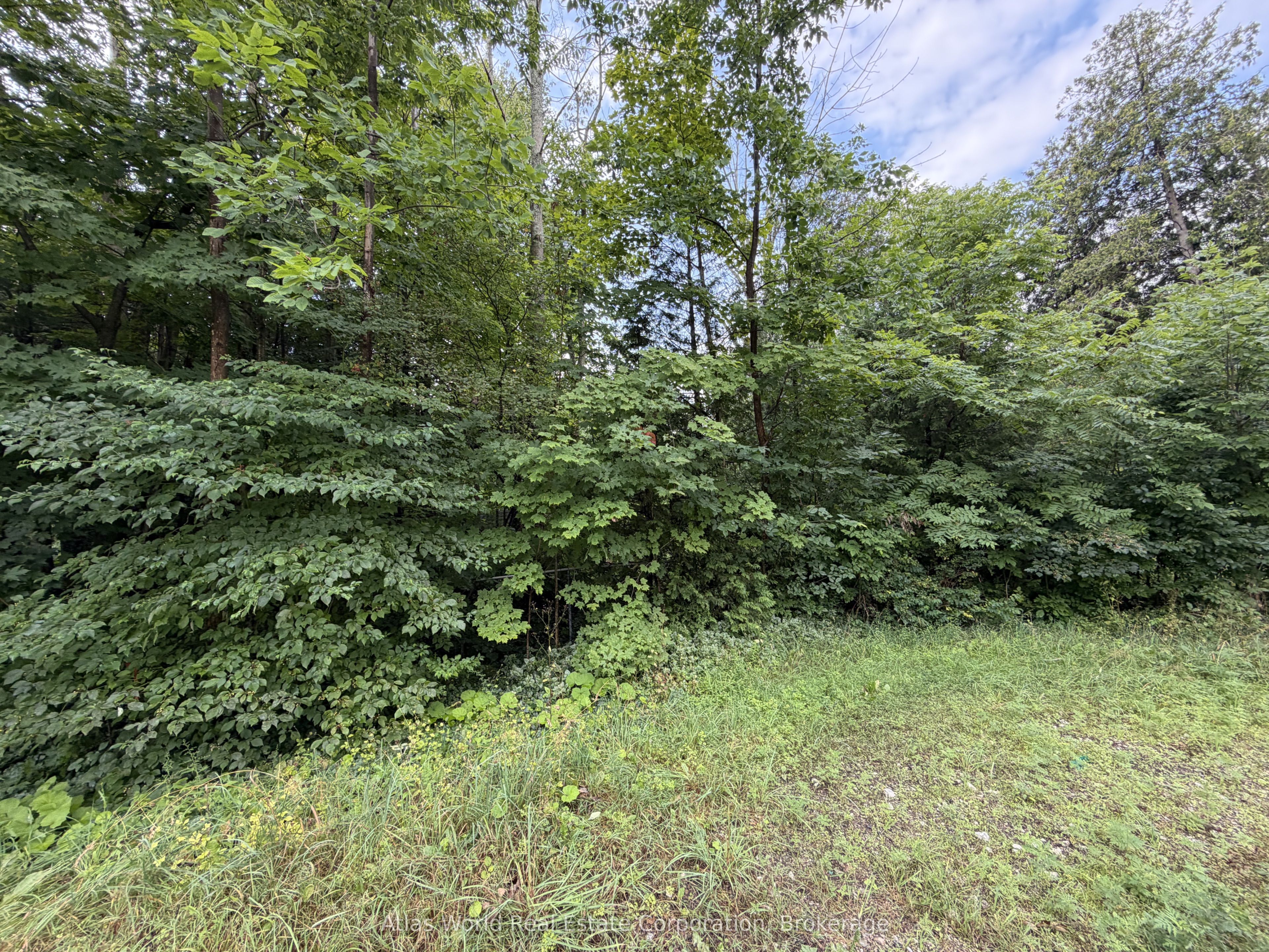 23 Front Street Property Photo 2