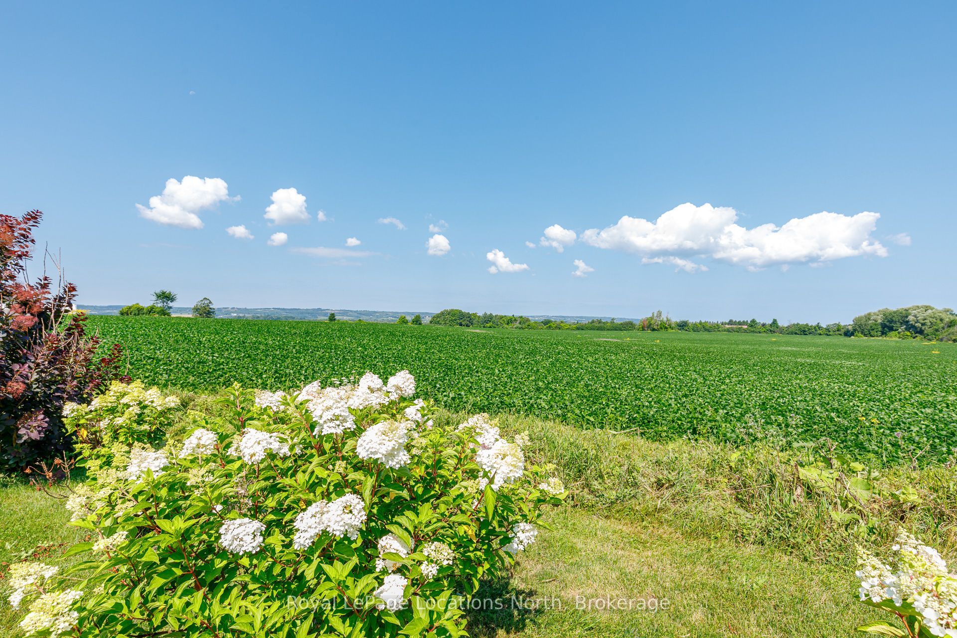 728099 21 Side Road Property Photo 35